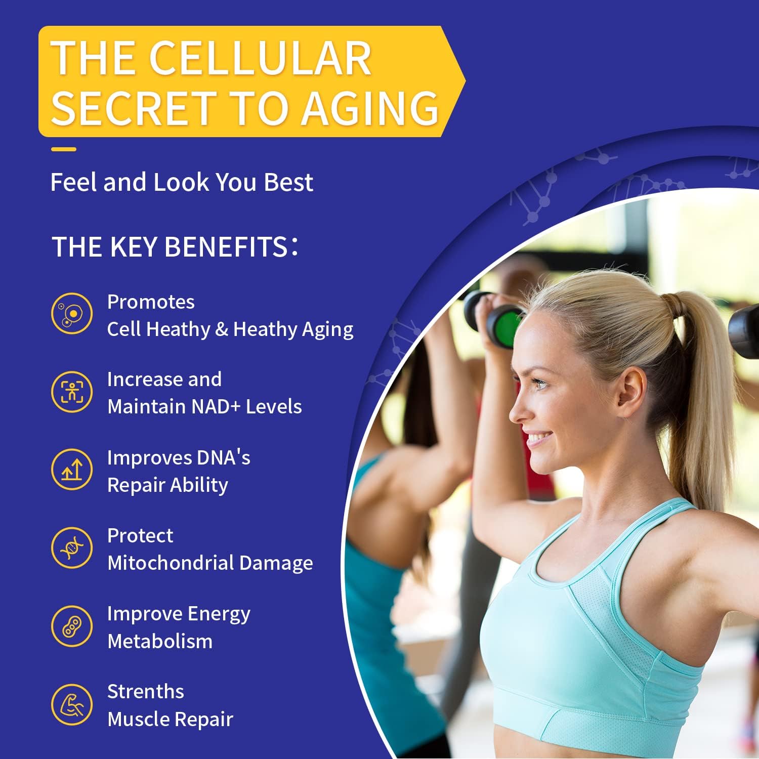 Liposomal NAD+ Supplement with TMG 300mg - 180 Capsules - Cell Energy, Healthy Aging, Muscle Repair - Not NMN or Nicotinamide Riboside