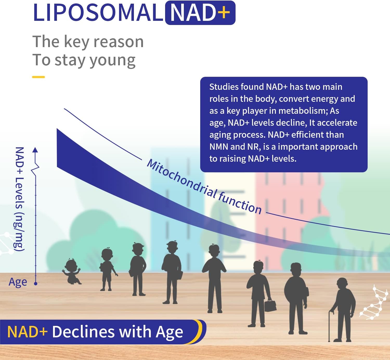 Liposomal NAD+ Supplement with TMG 300mg - 180 Capsules - Cell Energy, Healthy Aging, Muscle Repair - Not NMN or Nicotinamide Riboside