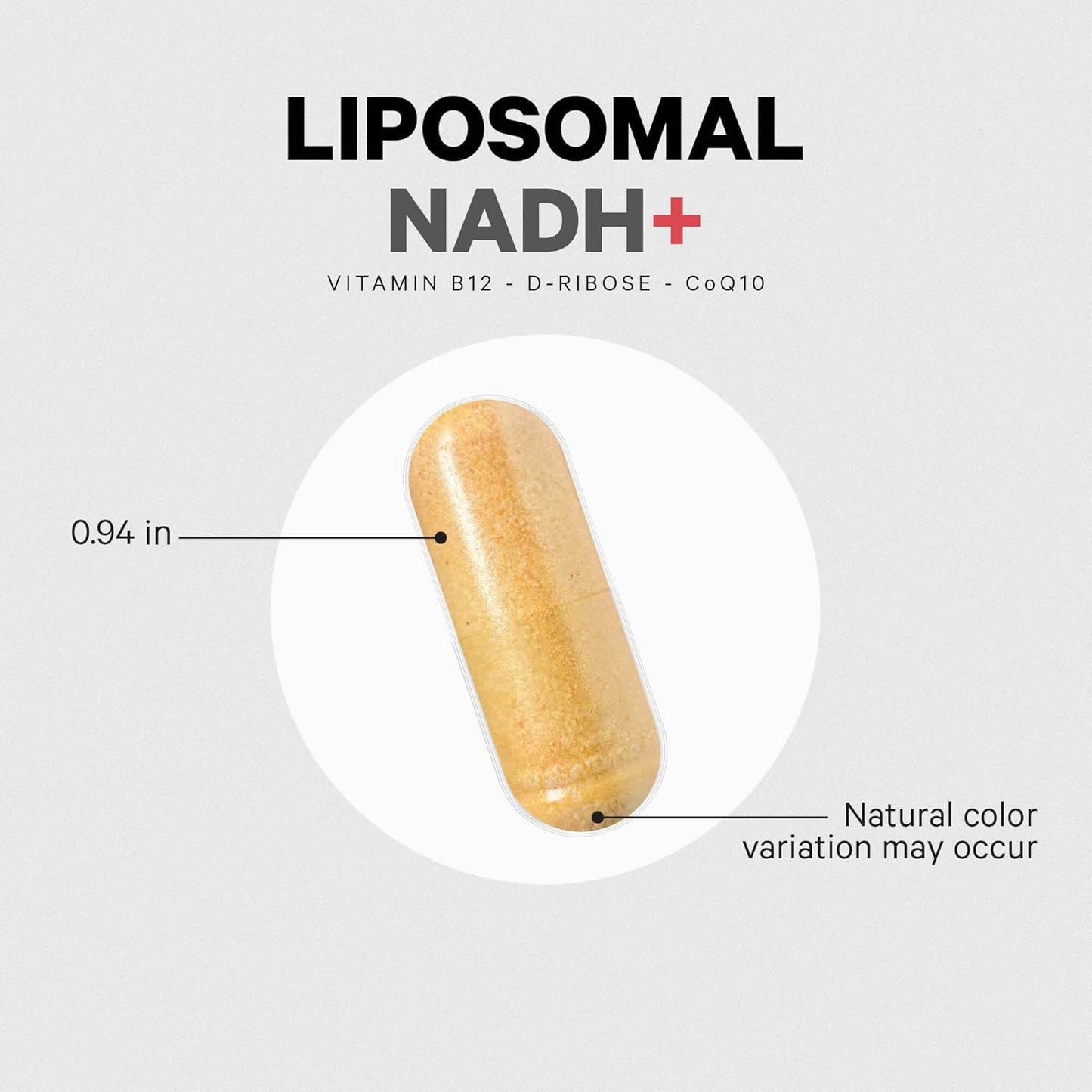 Liposomal NADH+ Supplement with Vitamin B12, D-Ribose, and CoQ10 - 2-Month Supply - Non-GMO - 60 Capsules