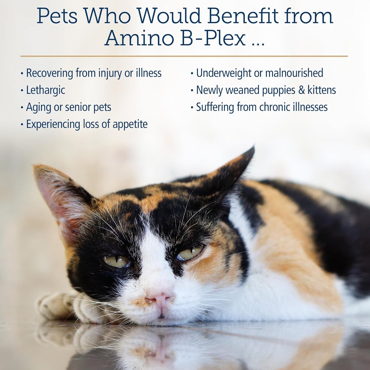 Liquid Amino B Plex Cat & Dog Supplement - Vitamin B Complex with Amino Acids - Appetite Booster & Weight Gainer for Cats & Dogs - 4 oz