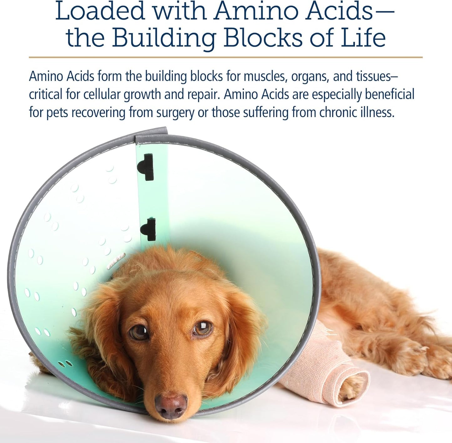Liquid Amino B Plex Cat & Dog Supplement - Vitamin B Complex with Amino Acids - Appetite Booster & Weight Gainer for Cats & Dogs - 4 oz