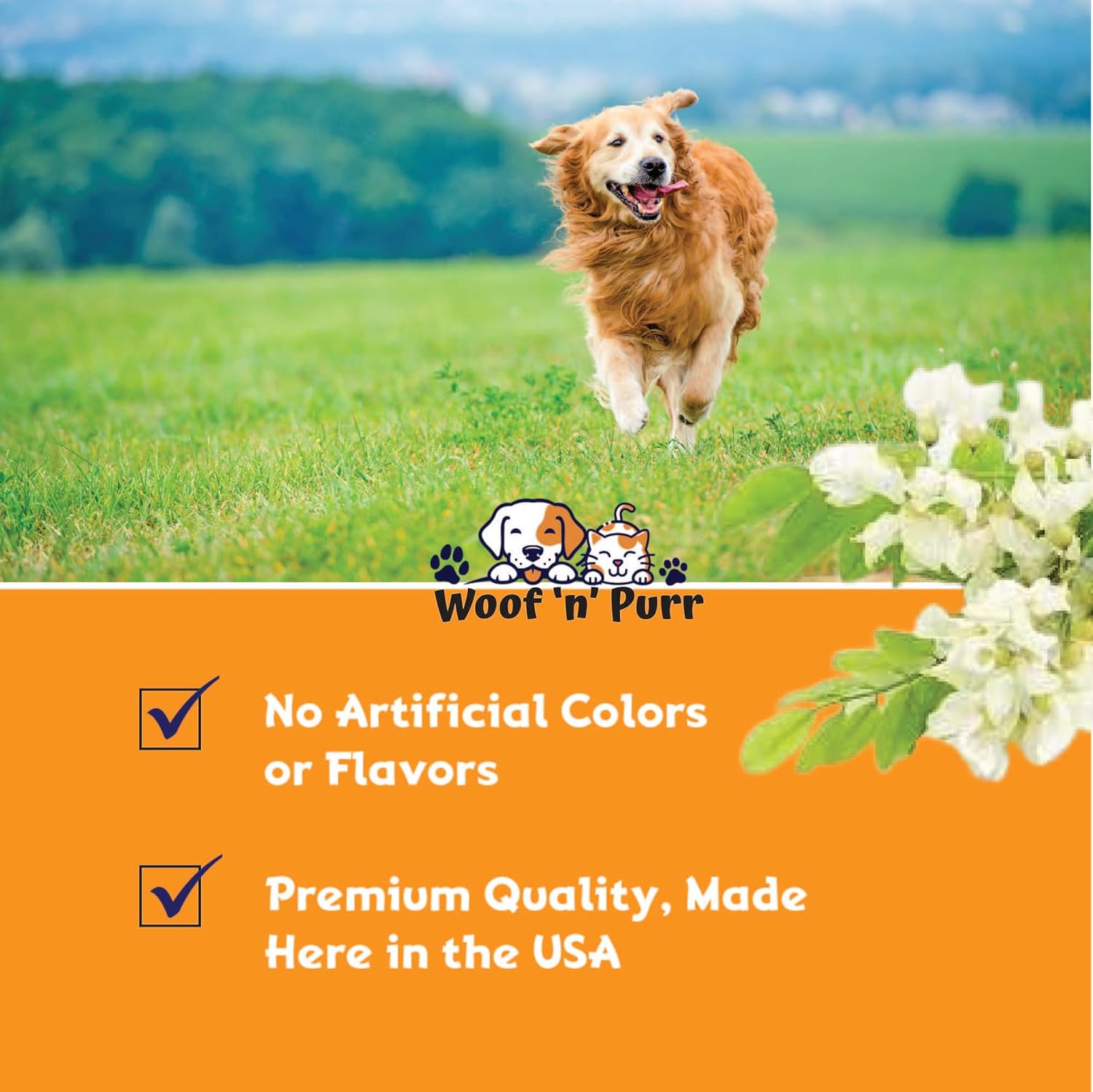 Liquid Collagen Skin and Coat Supplement for Dogs - 1 fl oz Bottle