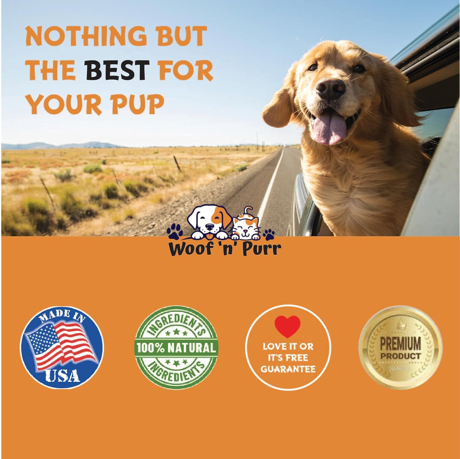 Liquid Collagen Skin and Coat Supplement for Dogs - 1 fl oz Bottle