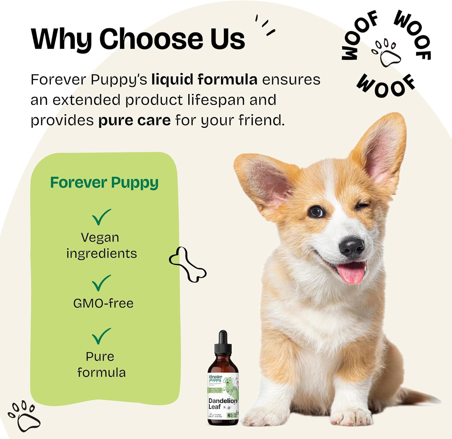 Liquid Dandelion Leaf Kidney Health Supplement for Dogs - 4 oz Bottle - Supports Kidney Cleanse & Detox - Suitable for Large, Medium, and Small Breeds