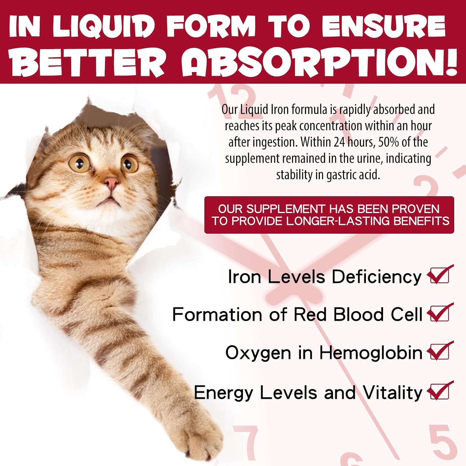 Liquid Iron Supplement for Cats - 60ML with Folate & B12 to Support Anemia & Energy Levels, Promotes Red Blood Cell Formation & Blood Health