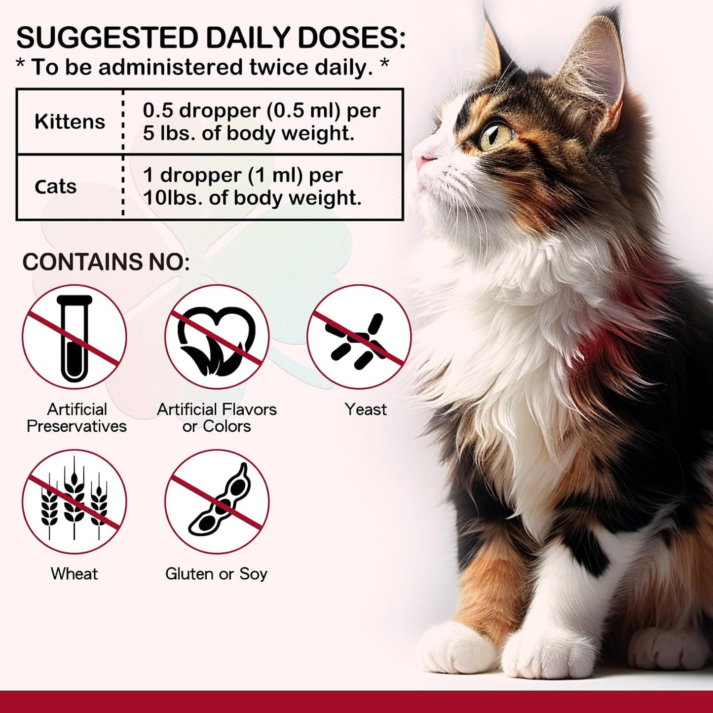 Liquid Iron Supplement for Cats - 60ML with Folate & B12 to Support Anemia & Energy Levels, Promotes Red Blood Cell Formation & Blood Health