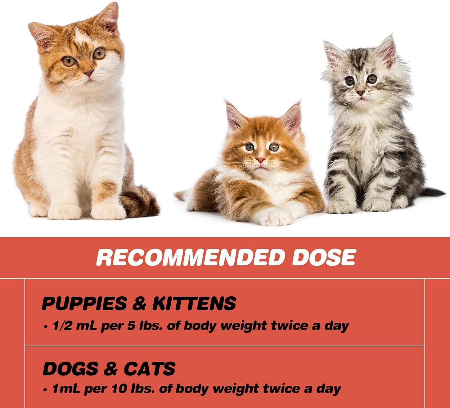 Liquid Iron Supplement for Cats - Supports Anemia, Promotes Healthy Red Blood Cells, Boosts Energy and Vitality - 3.4oz