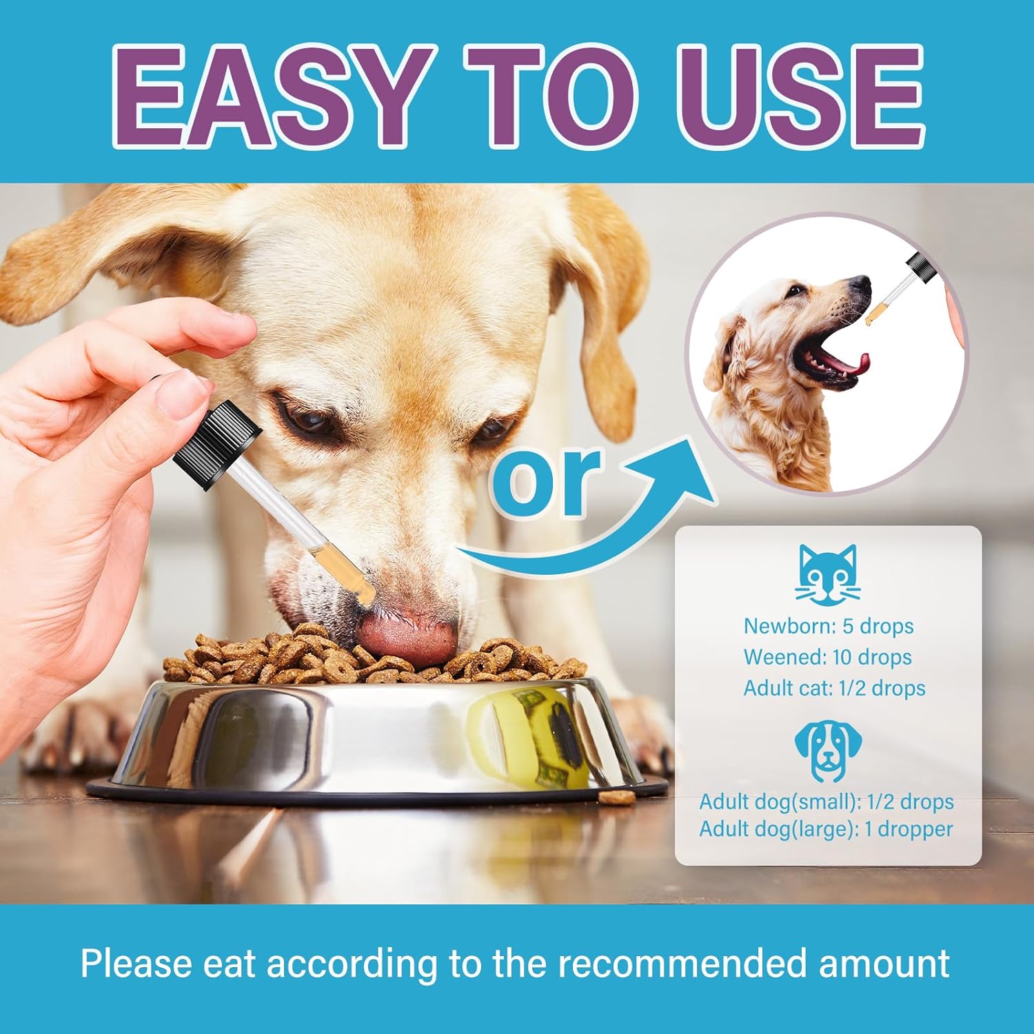 Liquid Iron Supplement for Pets - Boosts Energy, Fights Anaemia, Supports Blood Health with Vitamin C and B12