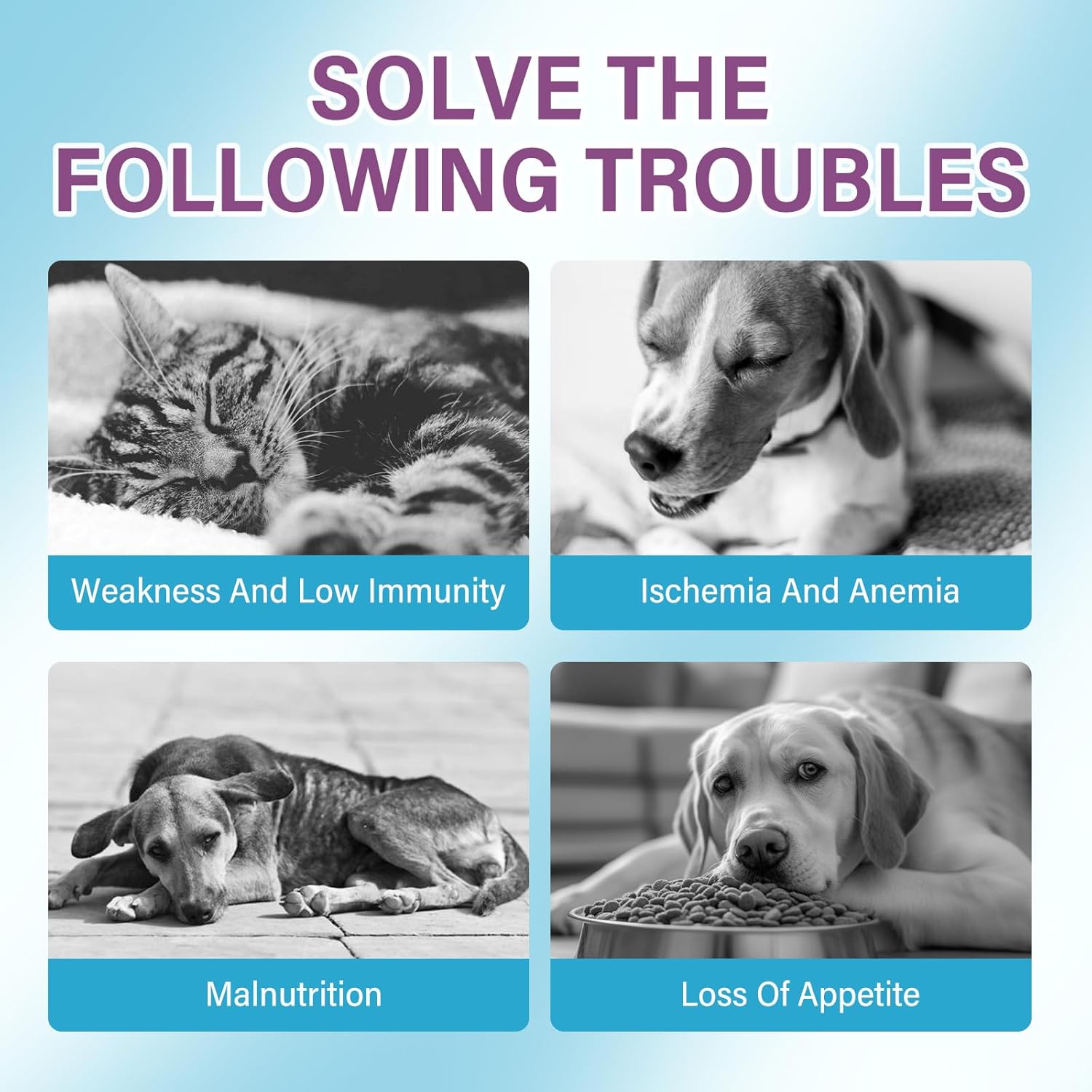 Liquid Iron Supplement for Pets - Boosts Energy, Fights Anaemia, Supports Blood Health with Vitamin C and B12