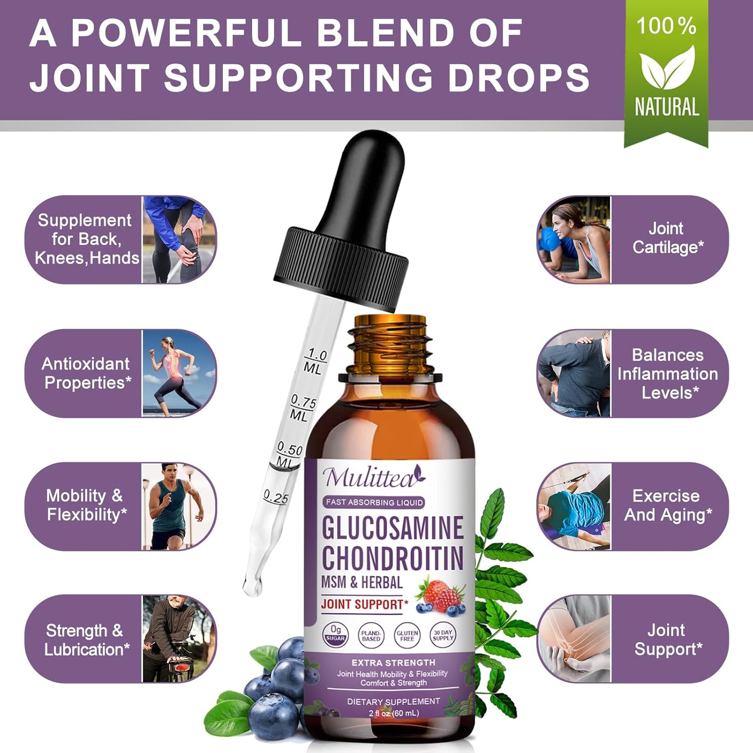 Liquid Joint Support Supplement with Glucosamine, Chondroitin, MSM, Elderberry, Boswelia, Bromelain, and Hyaluronic Acid - Antioxidant Immune Support for Adults - Pack of 2