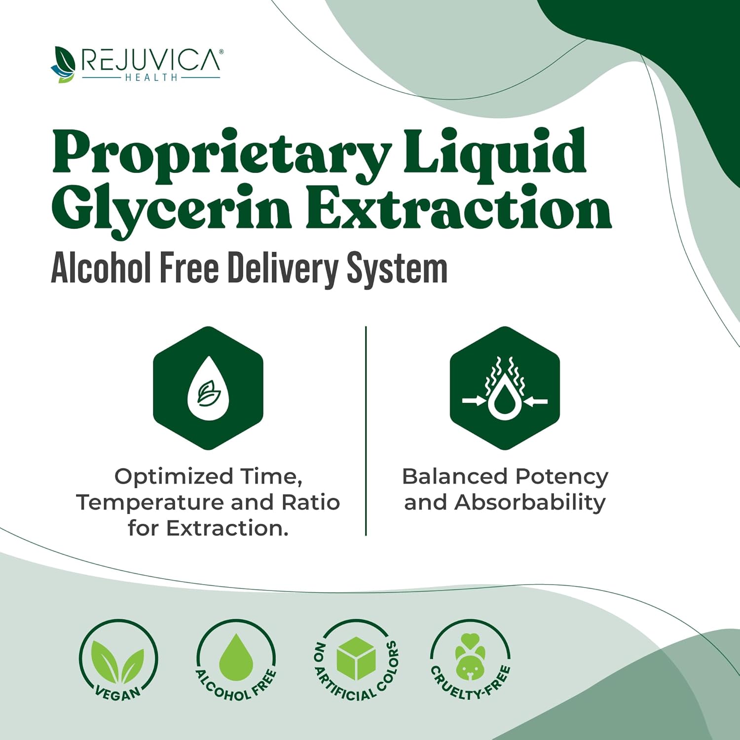 Liquid Liver Health Supplement for Cleanse & Detox - Supports Absorption of Milk Thistle, Artichoke, Chanca Piedra, Dandelion - Rejuvica Health VitaLiver