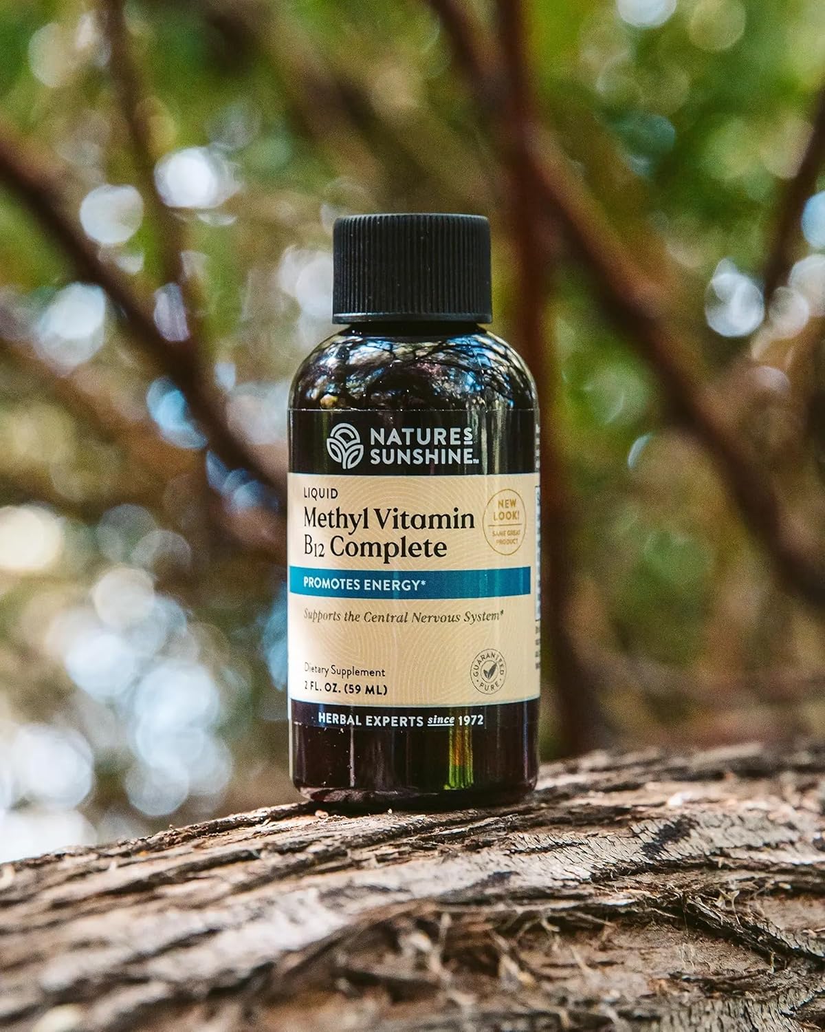 Liquid Methyl B-12 Complete by Nature's Sunshine | Boosts Energy, Nervous System Support, Immune System Booster | 1,000 mcg Vitamin B12 | 2 fl. oz.
