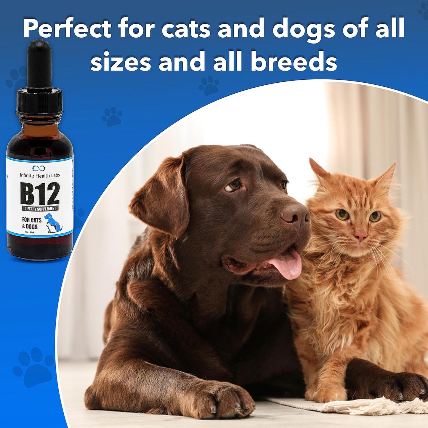 Liquid Methyl B12 Vitamin for Dogs and Cats - Vet Formulated for Infinite Health - USA Made for Energy, Appetite, and Mood Boost
