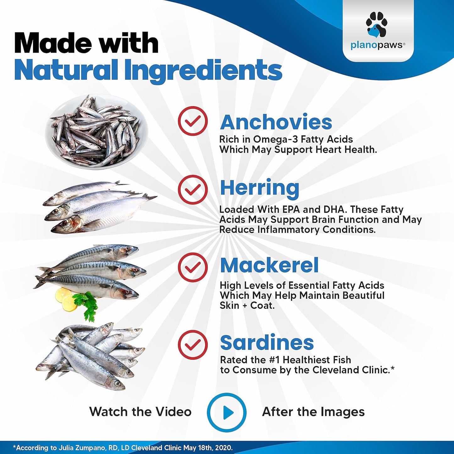 Liquid Omega 3 Fish Oil for Dogs - Premium Dog Supplement for Healthy Skin, Coat, and Joints - Supports Heart and Brain Health - Reduces Shedding and Itching - Alternative to Salmon Oil
