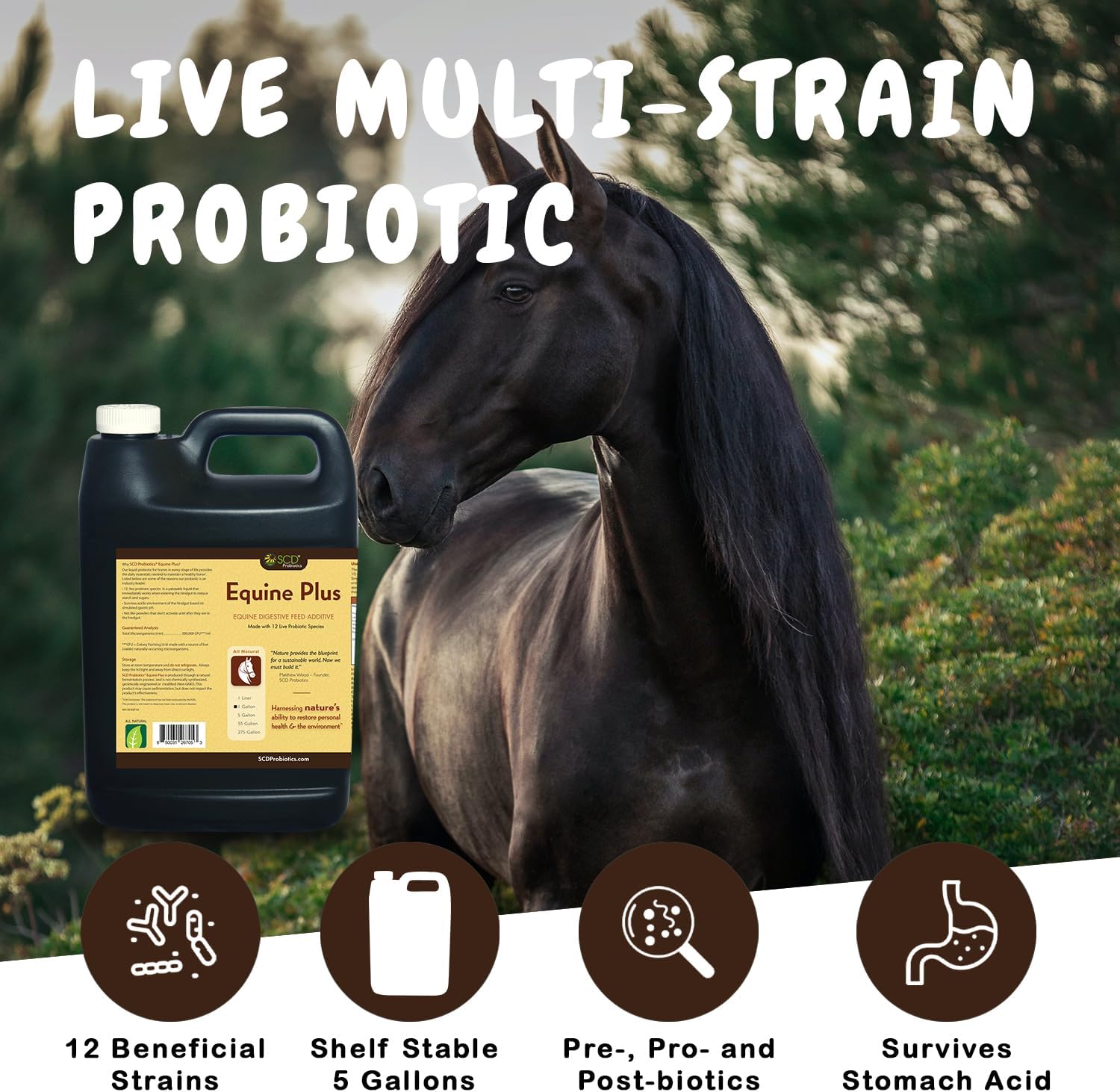 Liquid Probiotic Horse Supplement with Acidophilus - Digestive Health Support for Horses - SCD Probiotics Equine Plus (34 fl.oz.)