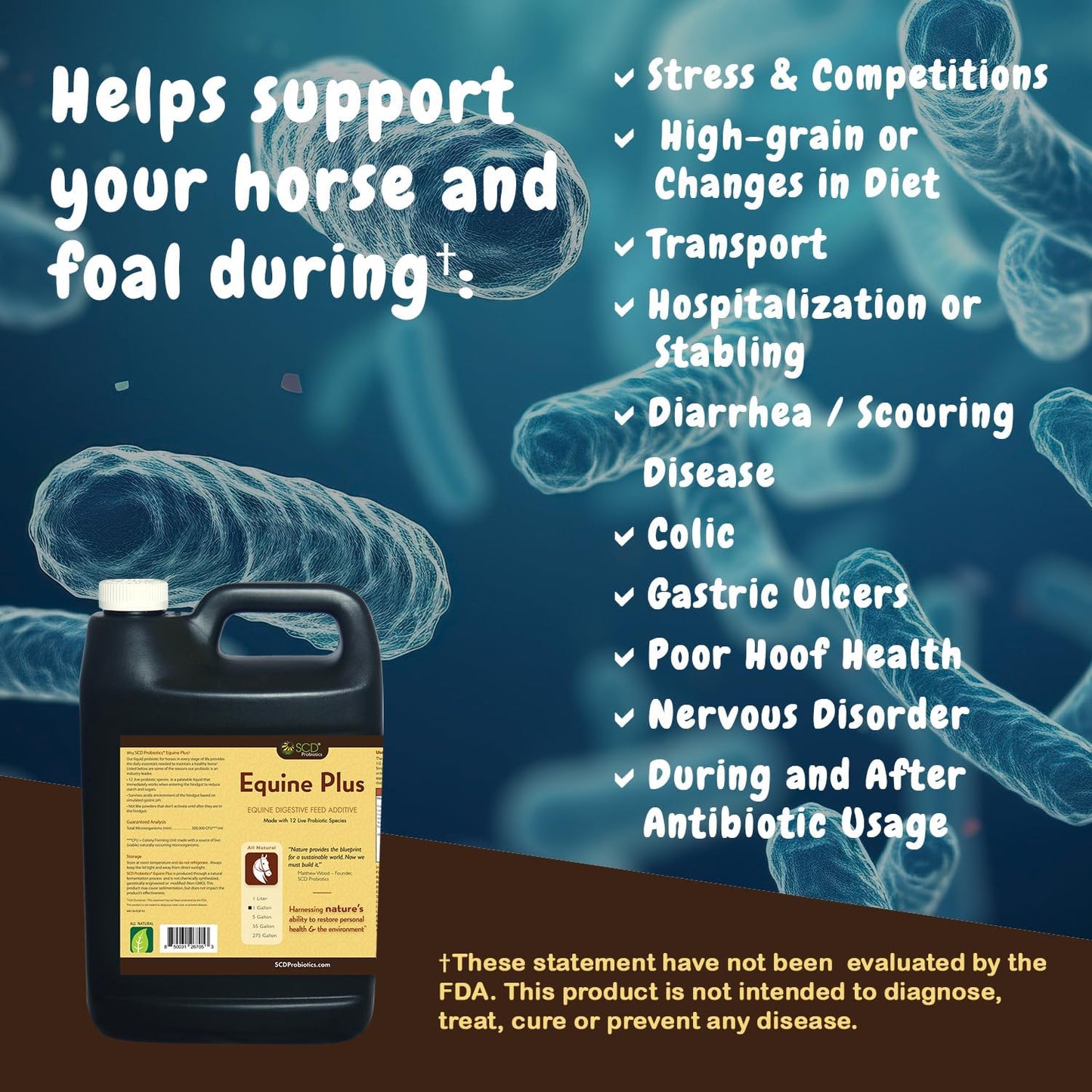 Liquid Probiotic Horse Supplement with Acidophilus - Digestive Health Support for Horses - SCD Probiotics Equine Plus (34 fl.oz.)