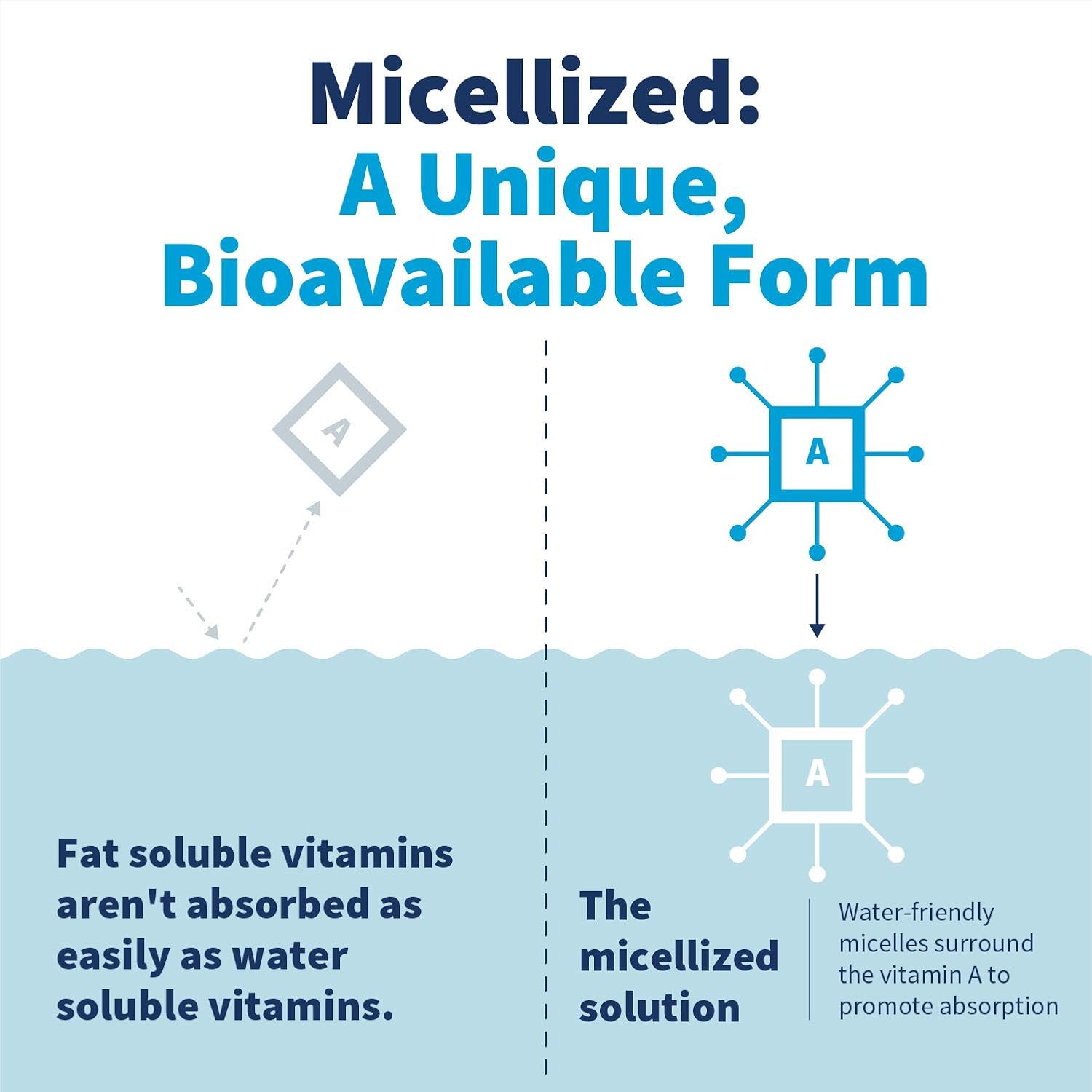 Liquid Vitamin A Drops with Beta Carotene for Vision, Immune & Bone Health - Micellized Vitamin A Supplement (1 Fl Oz)