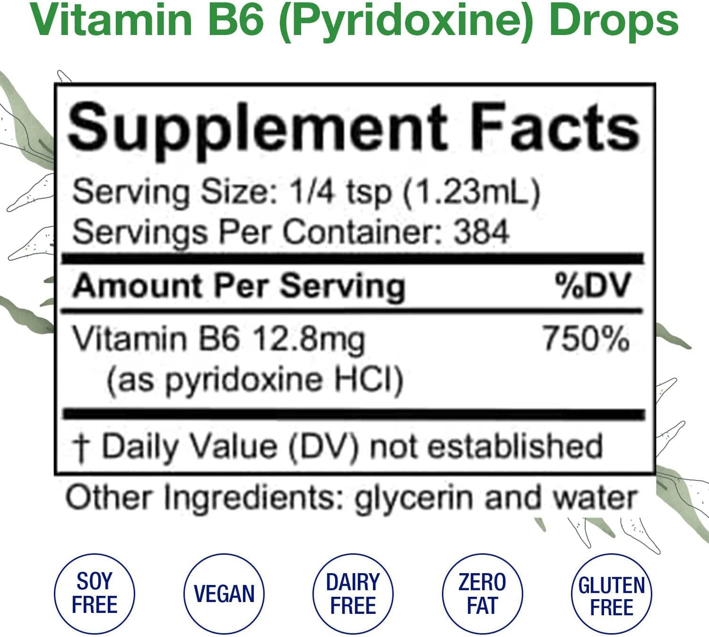 Liquid Vitamin B6 Drops for Brain Function, Blood Vessels & Immune Support - Mood Supplement - Alcohol-Free (16 Fl Oz)