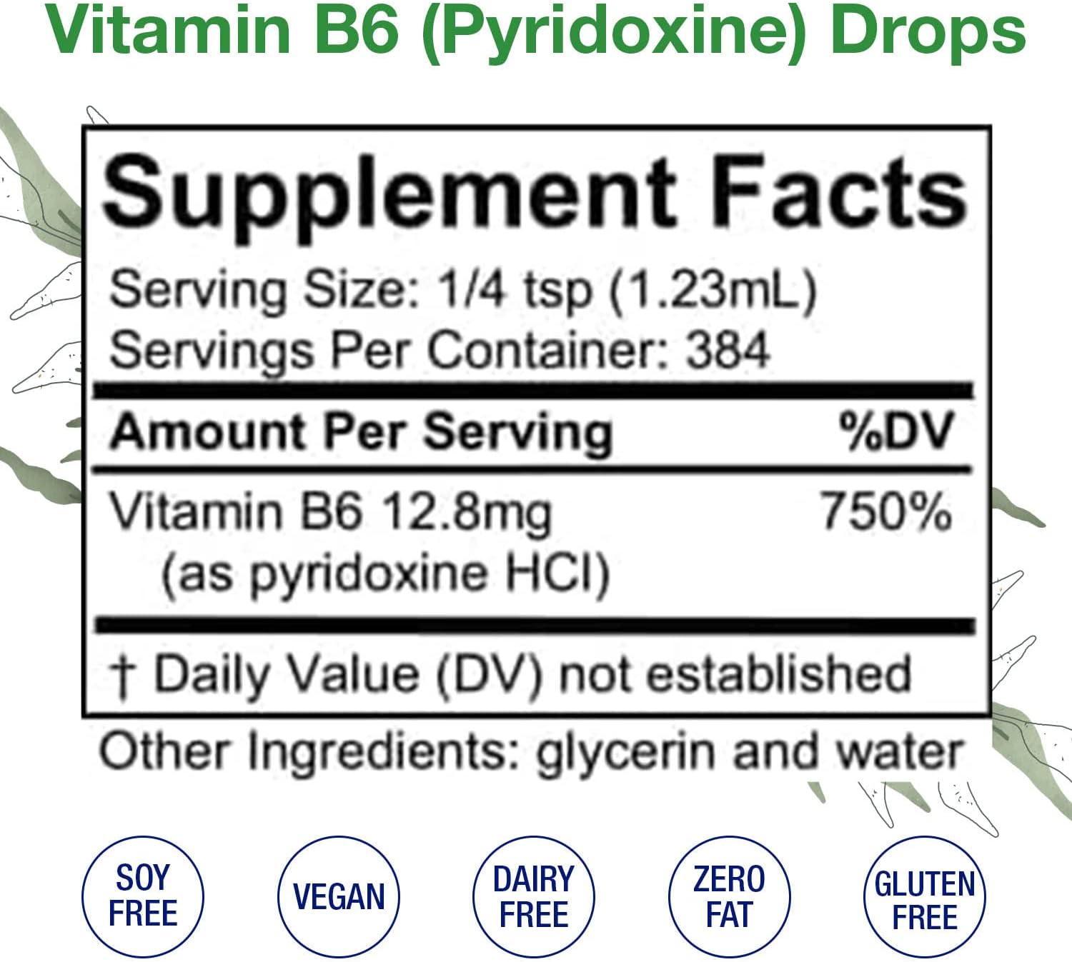 Liquid Vitamin B6 Drops for Brain Function, Blood Vessels & Immune Support - Mood Supplement - Alcohol-Free (16 Fl Oz)