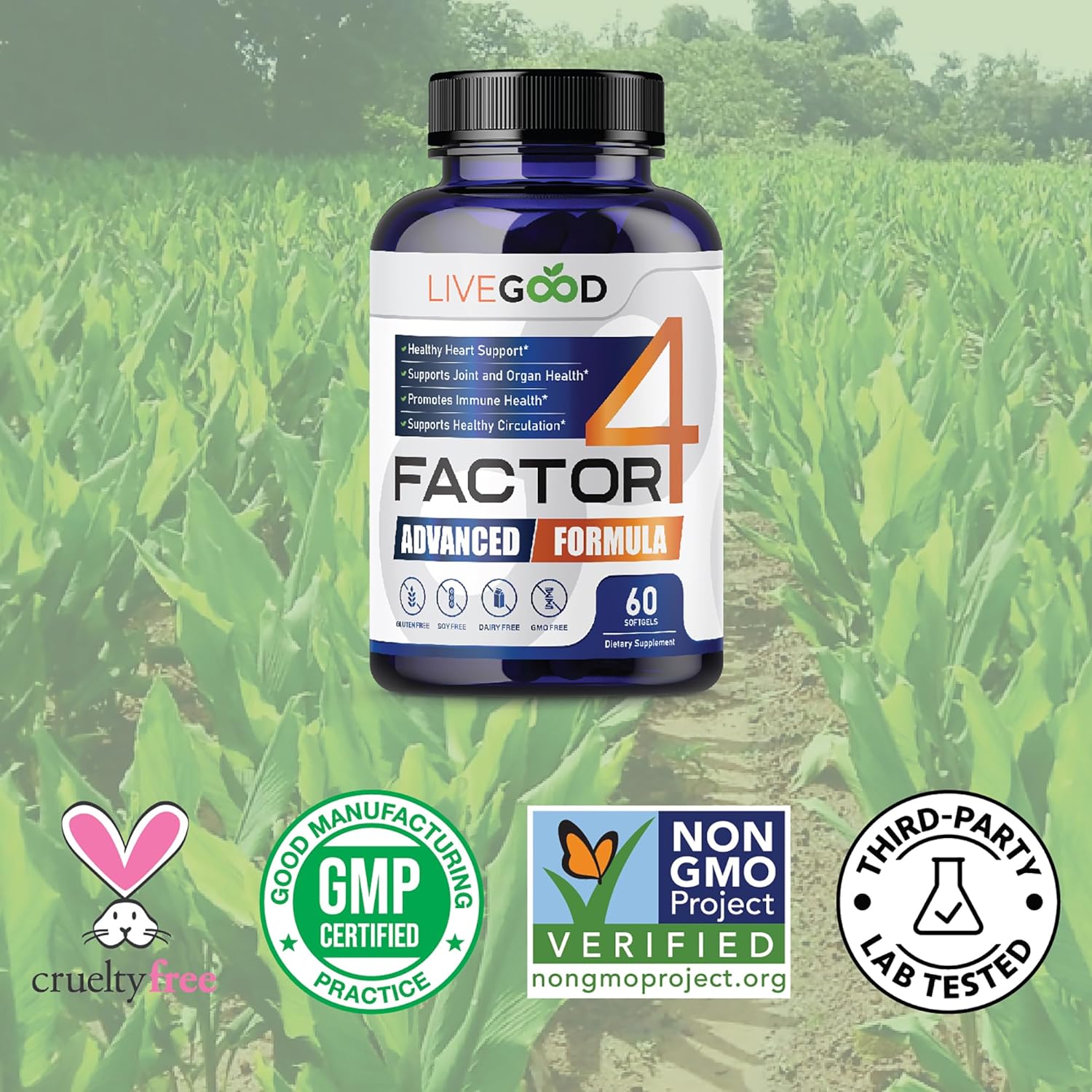 LIVEGOOD™ Factor4 Advanced Supplement with Fish Oil, Turmeric, Coenzyme Q10, Garlic - Non-GMO - 60 Capsules