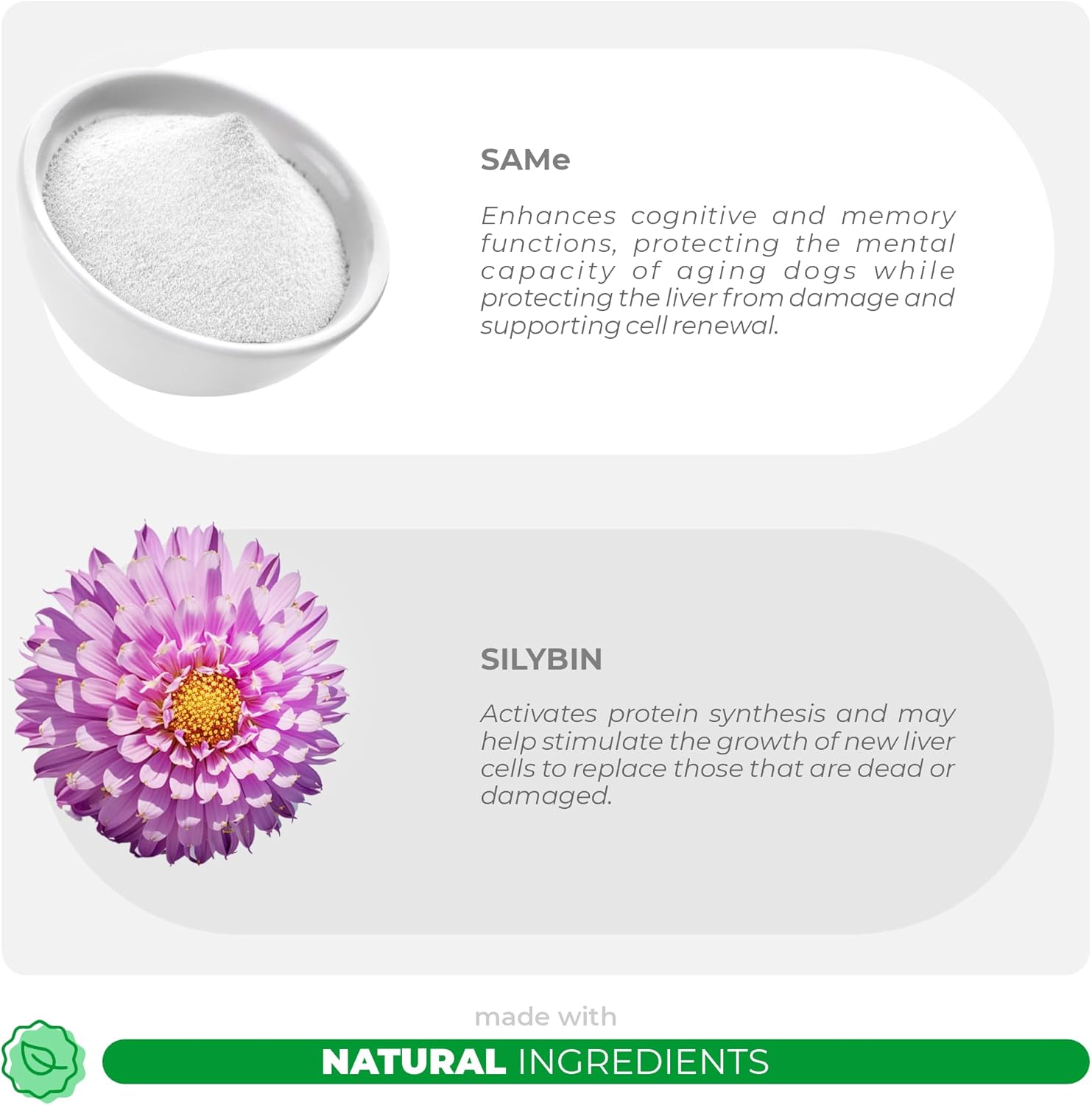 Liver and Cognitive Support Powder for Cats with Coco and Luna Same, Silybin, and S-Adenosyl-L-Methionine - 120g Liver Supplement