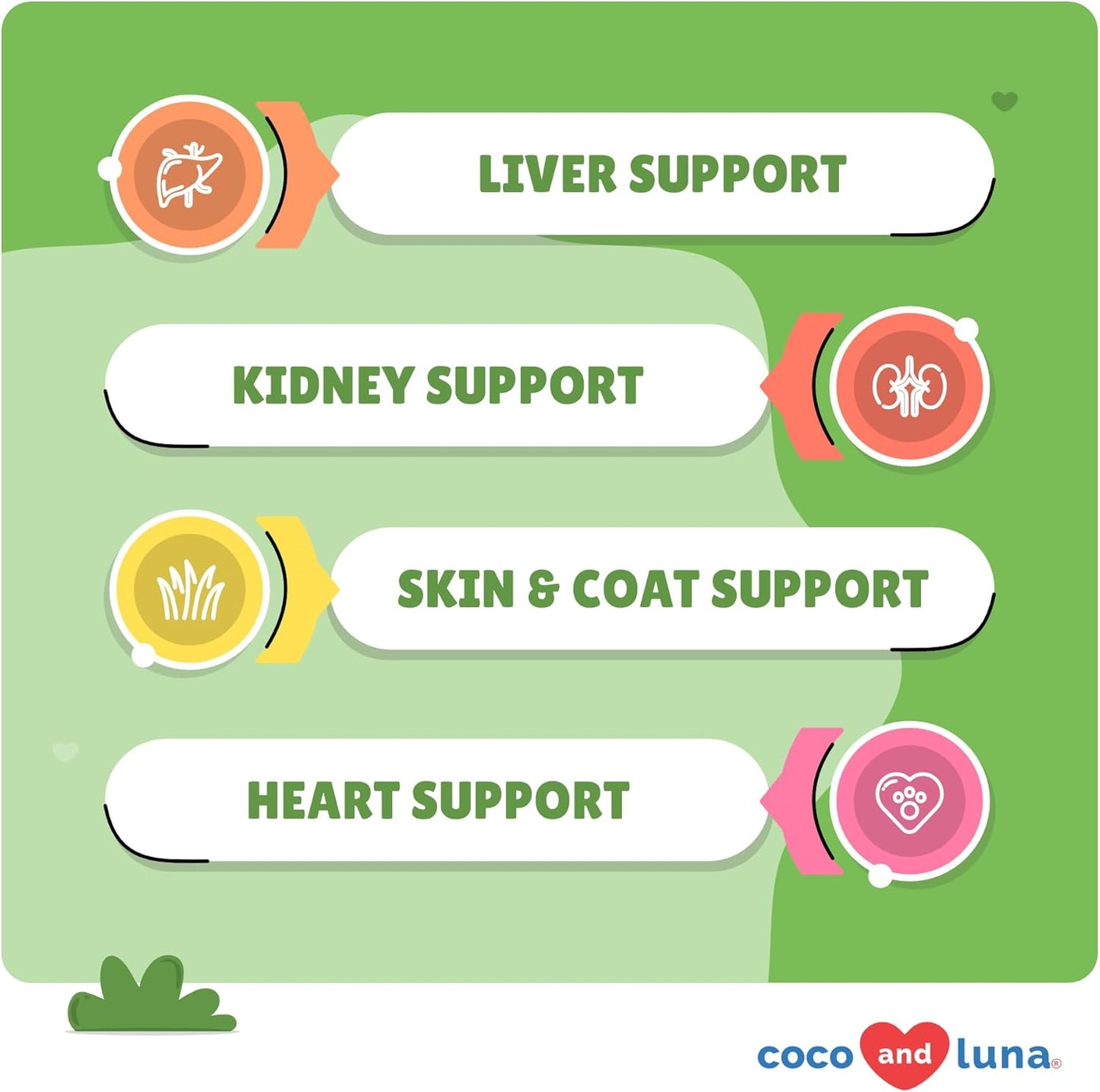 Liver and Kidney Support for Dogs - 120 Chewable Tablets with Silymarin, EPA & DHA - Detox Supplement with Choline and L-Arginine - Coco and Luna Milk Thistle