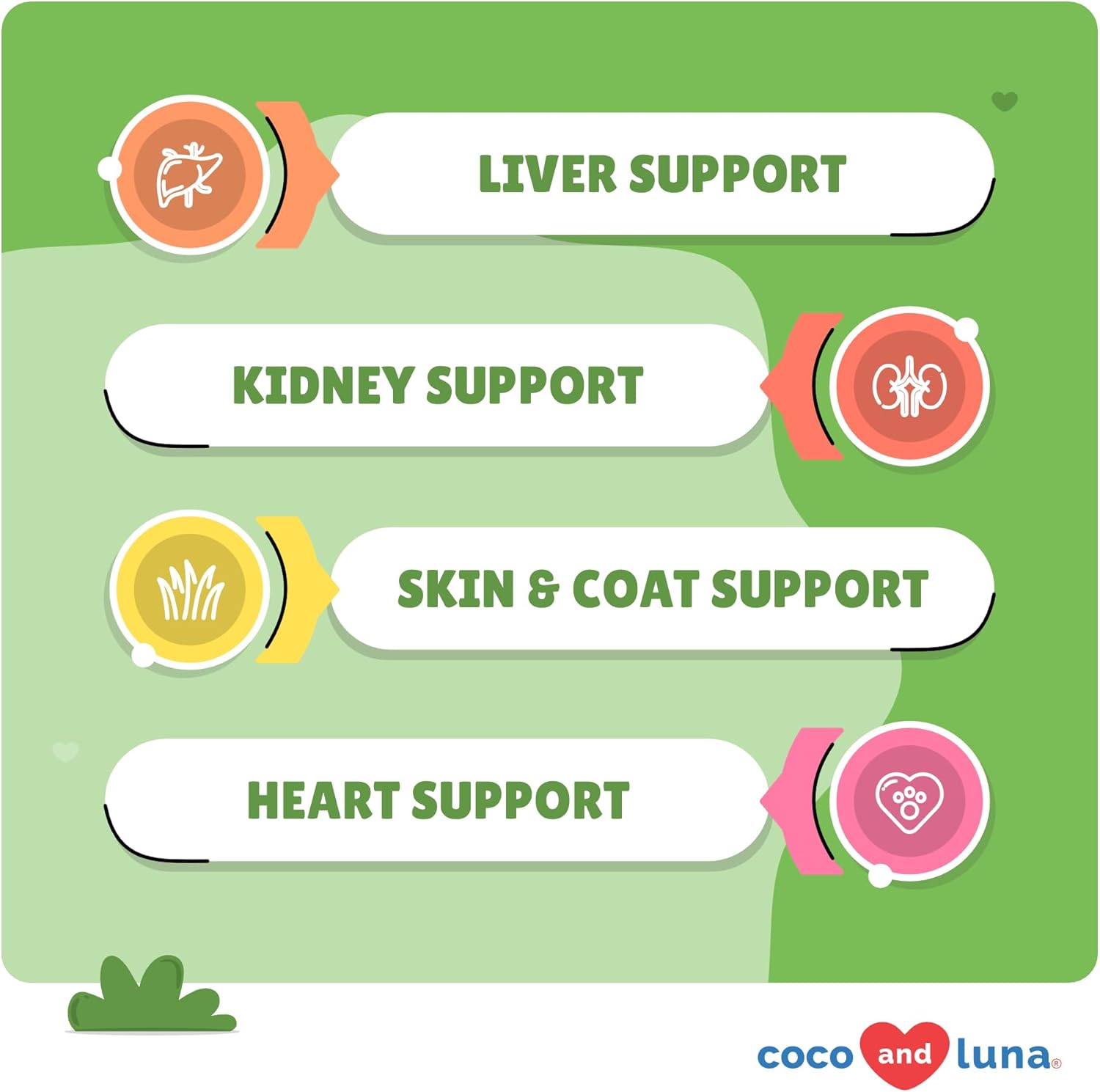 Liver and Kidney Support for Dogs - 120 Chewable Tablets with Silymarin, EPA & DHA - Detox Supplement with Choline and L-Arginine - Coco and Luna Milk Thistle