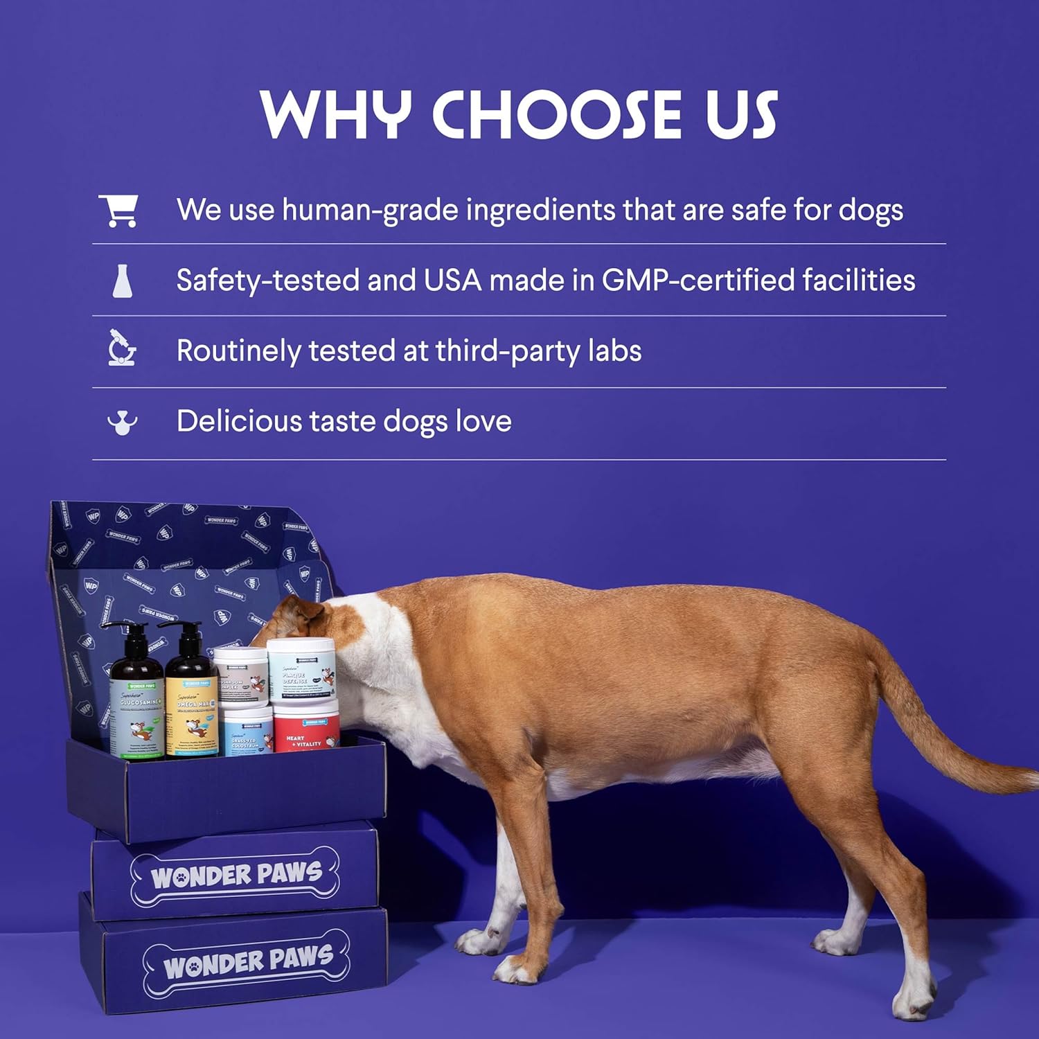 Liver and Kidney Support Supplement for Dogs with Milk Thistle, Wild Alaskan Salmon Oil, and Curcumin - Detox and Hepatic Support - Omega 3 EPA & DHA - 2 Oz