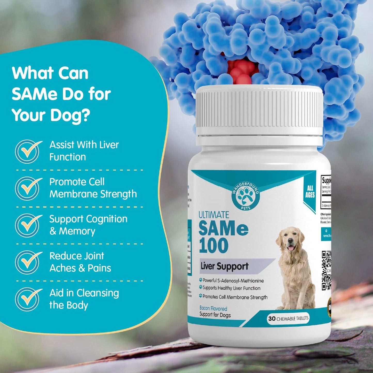 Liver & Brain Support Supplement for Dogs - Same S-Adenosyl-L-Methionine Hepatic Formula - Bacon Flavored Chewable Tablets - 30 Count