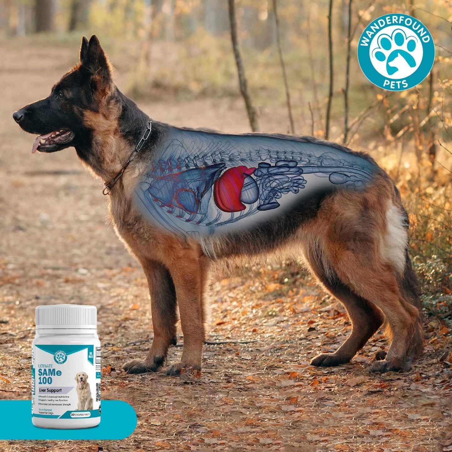 Liver & Brain Support Supplement for Dogs - Same S-Adenosyl-L-Methionine Hepatic Formula - Bacon Flavored Chewable Tablets - 30 Count