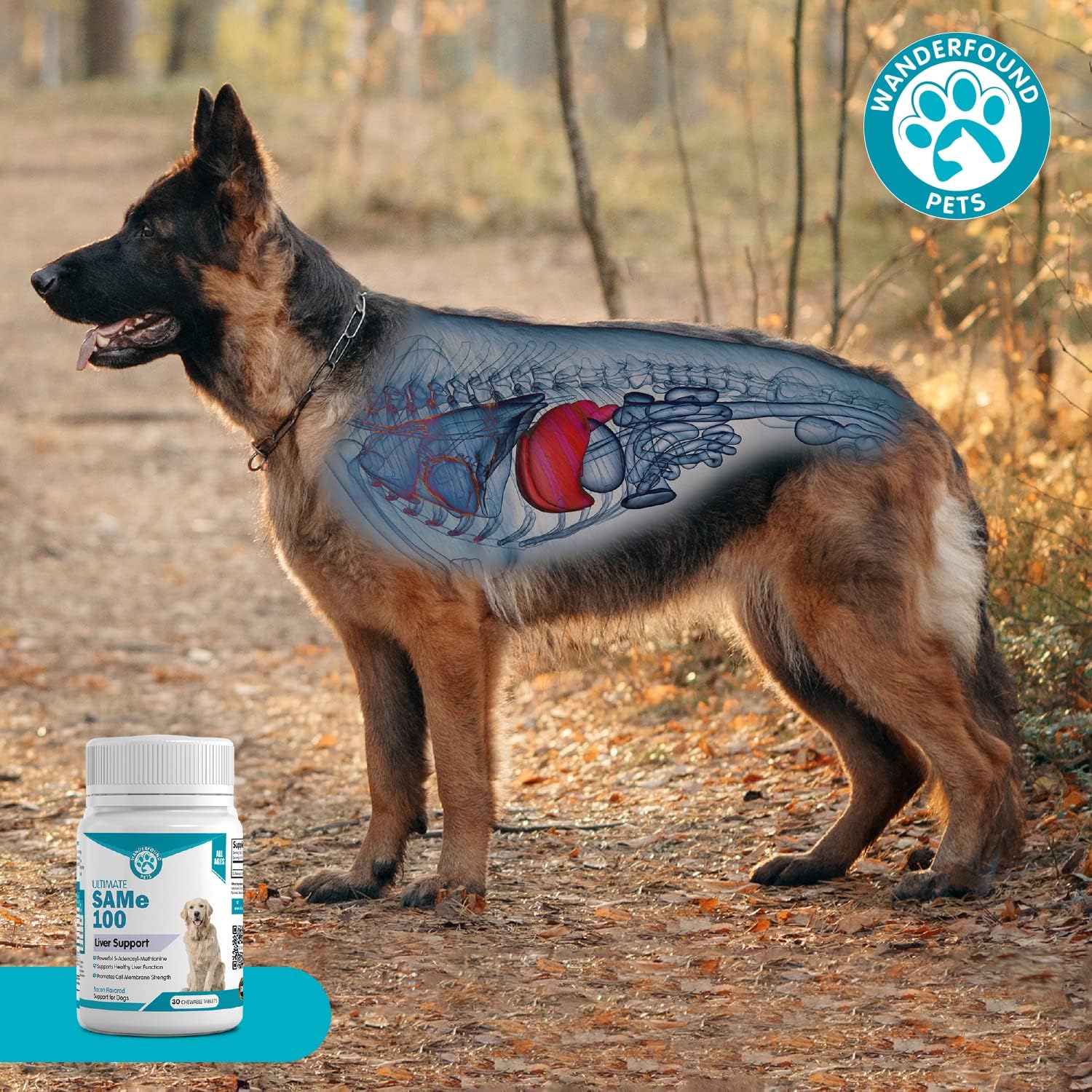 Liver & Brain Support Supplement for Dogs - Same S-Adenosyl-L-Methionine Hepatic Formula - Bacon Flavored Chewable Tablets - 30 Count