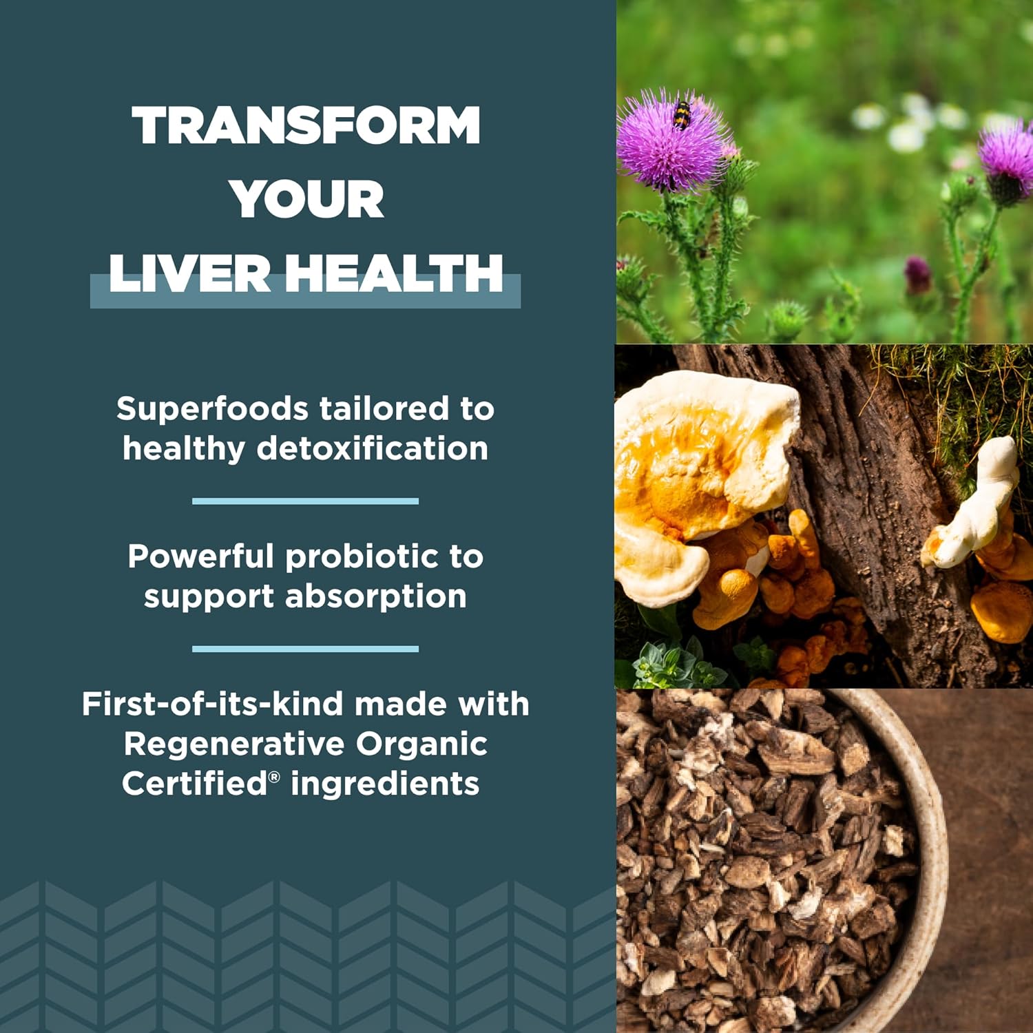 Liver Cleanse Supplement with Milk Thistle, Burdock Root & Reishi - 90 Count, Organic & Gluten Free