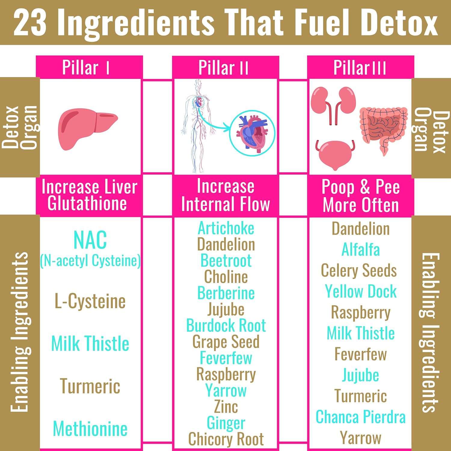 Liver Detox Cleanse Supplement with Milk Thistle, NAC, and Berberine for Liver Health and Glutathione Support