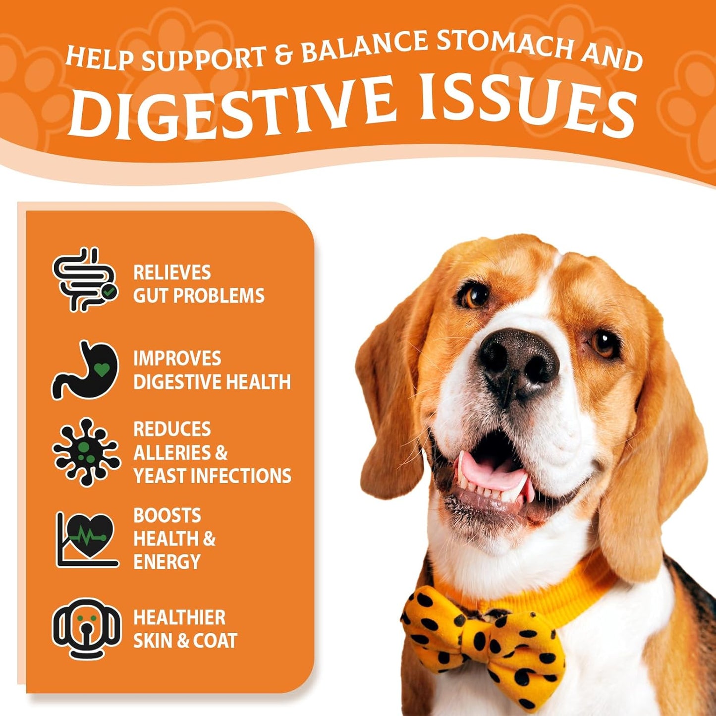 Liver Flavored Probiotic Powder for Dogs - 120 Scoops of Immune and Digestive Health Support