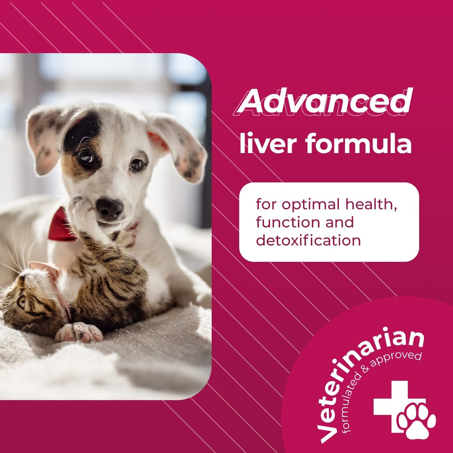 Liver Health Support Supplement for Dogs & Cats - VetriScience SAM-e with Glutathione - 30 Tablets, 1-Month Supply - 90mg
