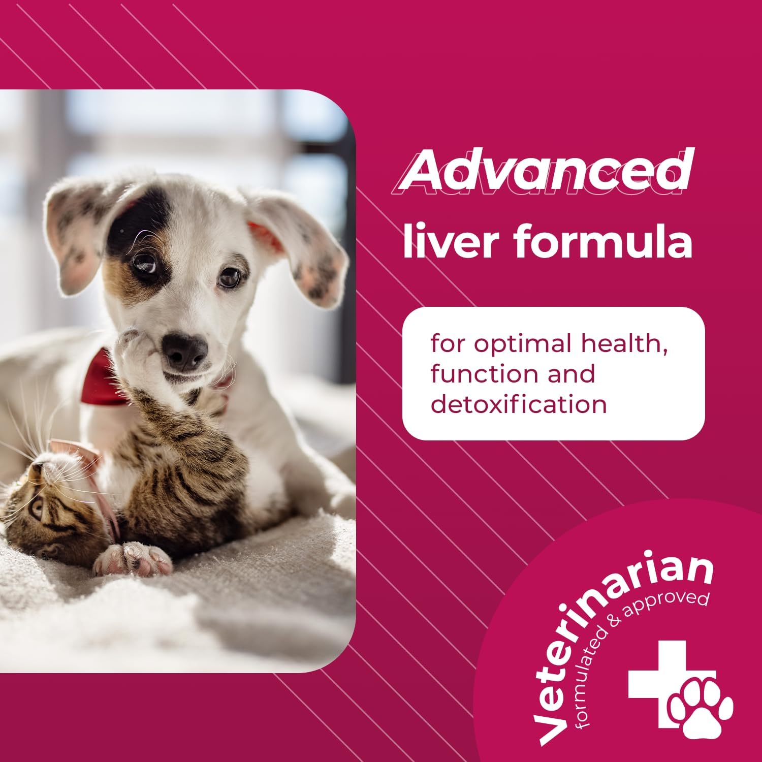Liver Health Support Supplement for Dogs & Cats - VetriScience SAM-e with Glutathione - 30 Tablets, 1-Month Supply - 90mg