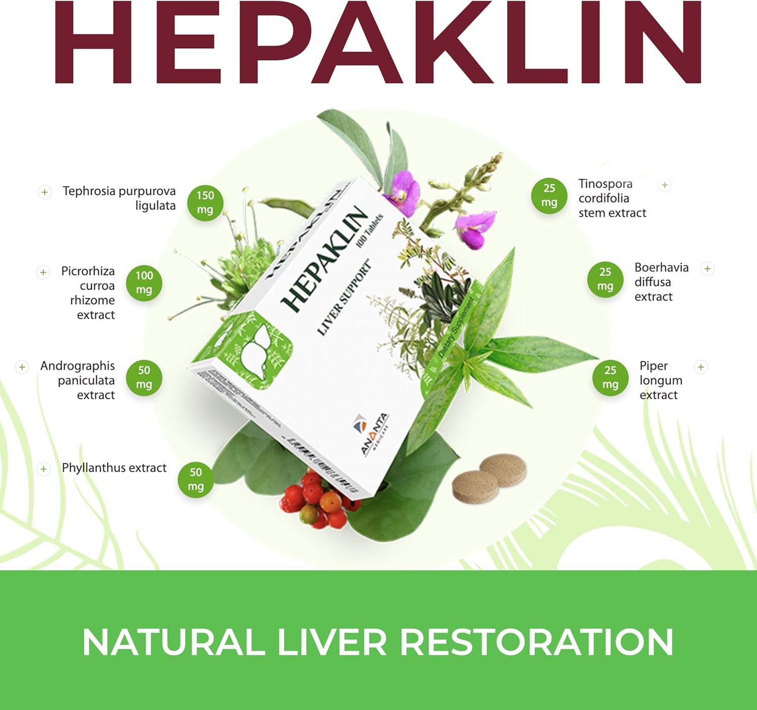 Liver Support Supplement - ANANTA MEDICARE Hepaklin, 100 Tablets for Liver Health and Detox