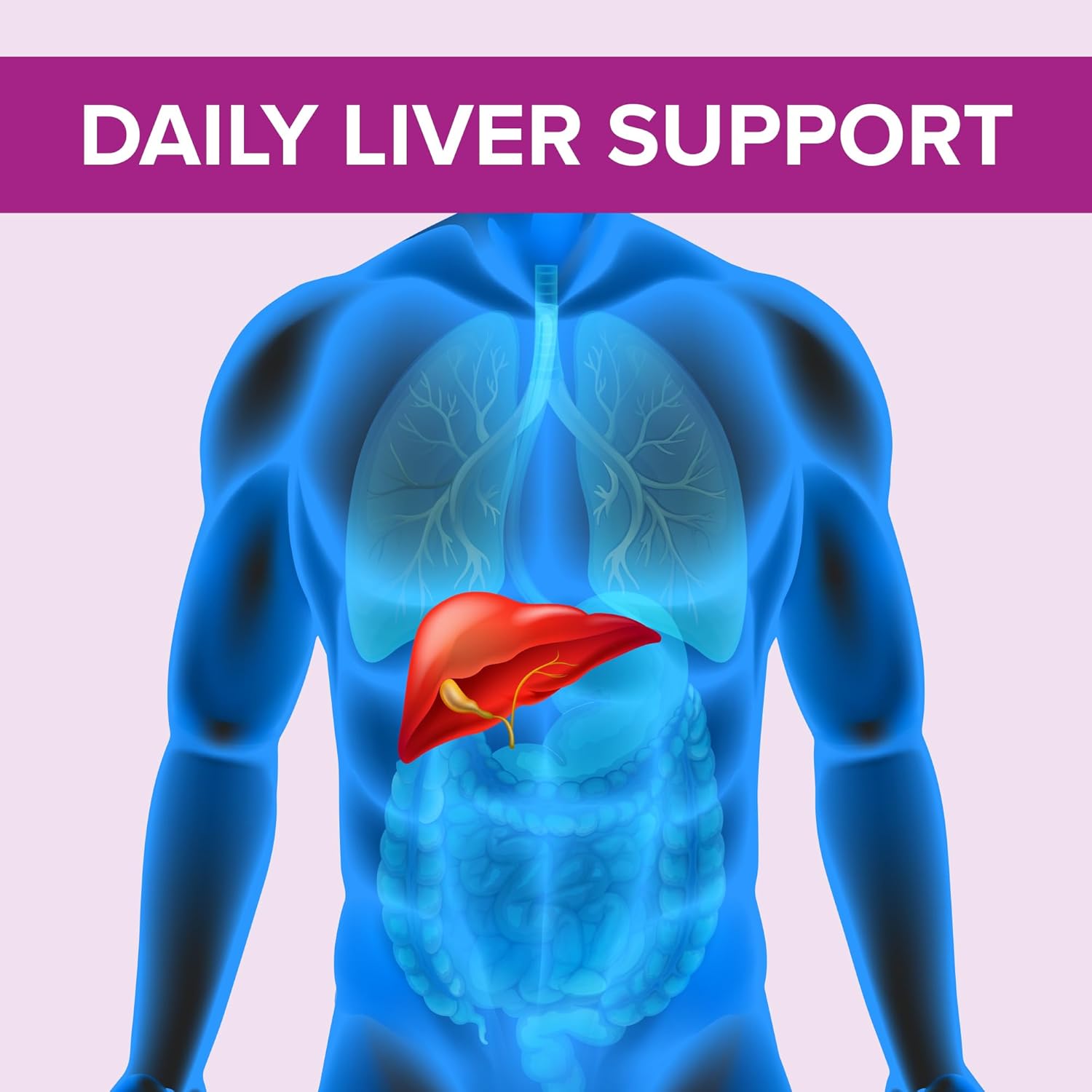 Liver Support Supplement: 240 Tablets of Milk Thistle 70mg 100:1 Extract with 80% Silymarin - Natural Daily Foundation for Liver Health - Made in USA, 3rd Party Tested