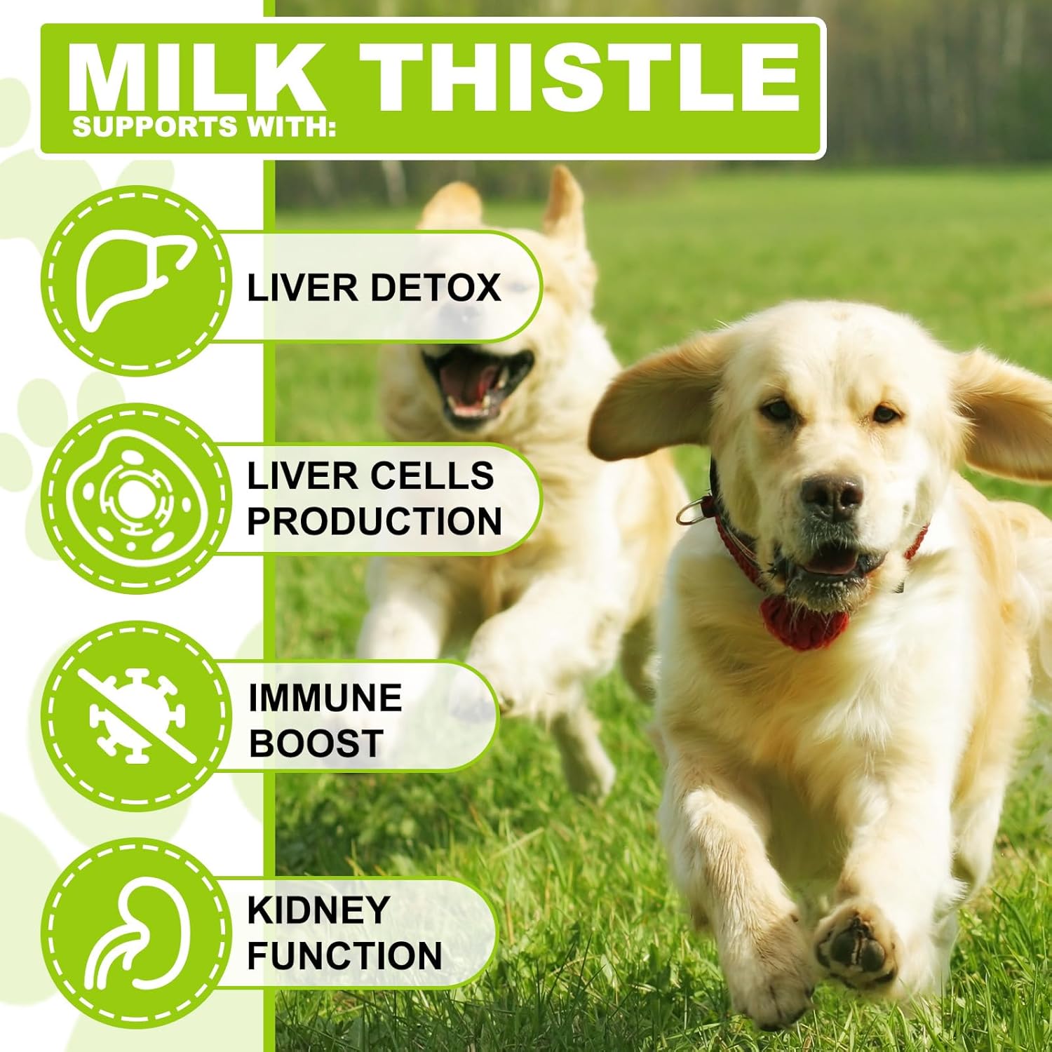 Liver Support Supplement for Dogs - Onznoz Milk Thistle with Curcumin, Omega 3 EPA, and Wild Alaskan Salmon Oil - Immune & Hepatic Support for Pets