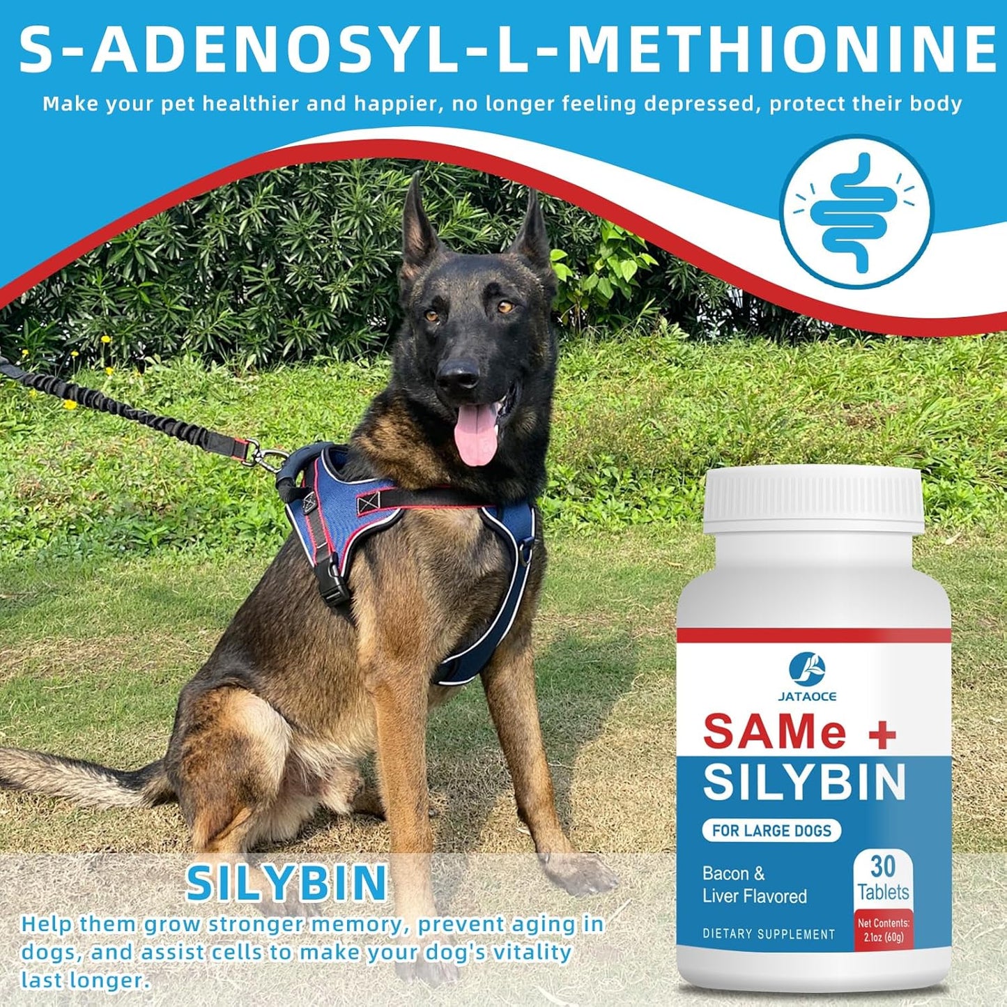 Liver Support Supplement for Dogs - Same and Silybin Blend, S-Adenosyl-L-Methionine Formula, Hepatic Health for Small Dogs, Natural Liver and Brain Support for Canines
