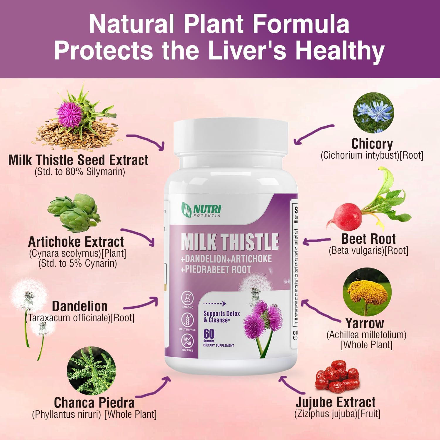 Liver Support Supplement with Milk Thistle, Dandelion Root, Artichoke Extract - Detox & Repair Formula, Non-GMO - 60 Capsules