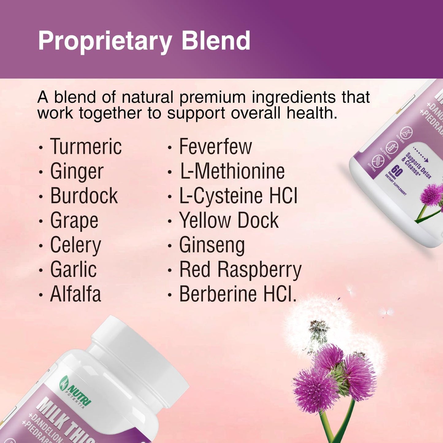 Liver Support Supplement with Milk Thistle, Dandelion Root, Artichoke Extract - Detox & Repair Formula, Non-GMO - 60 Capsules