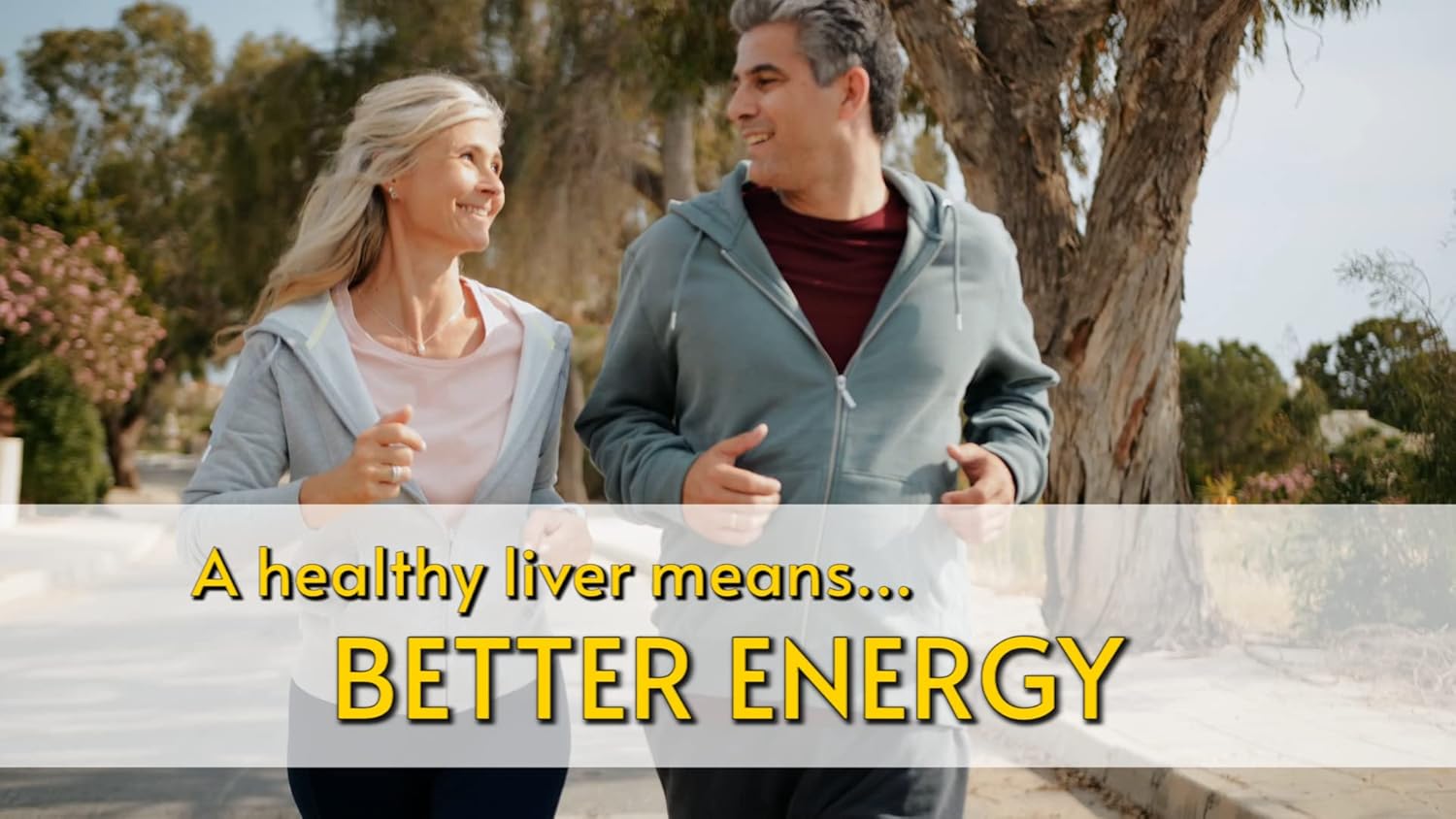 Liverite Liver Aid 2-Pack - 240 Tablets for Liver Support, Cleanse, and Energy Boost