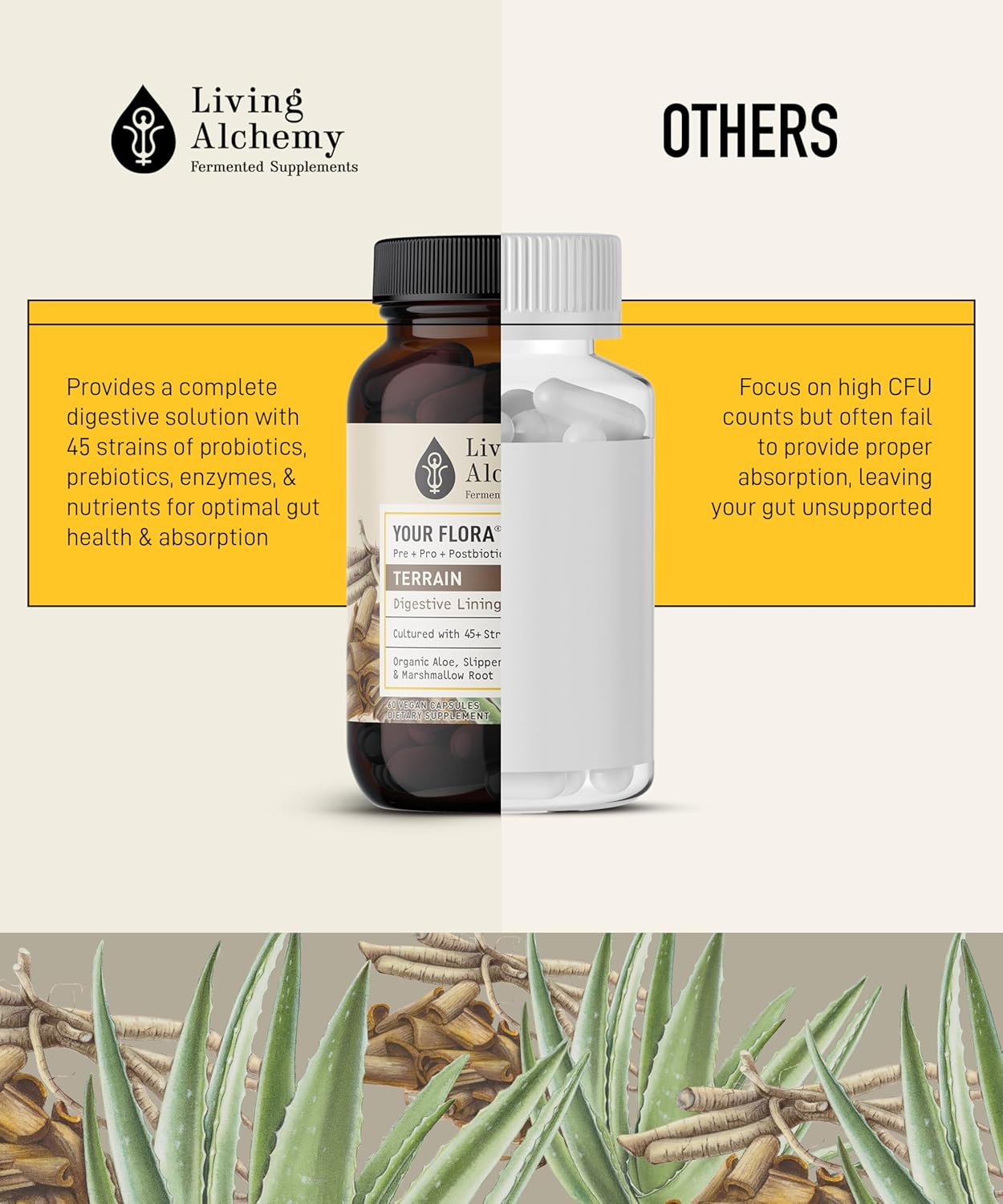 Living Alchemy Your Flora Probiotic Terrain: Non-GMO Digestive Supplement with Fermented Soybean, Aloe Vera, Slippery Elm - 60 Capsules