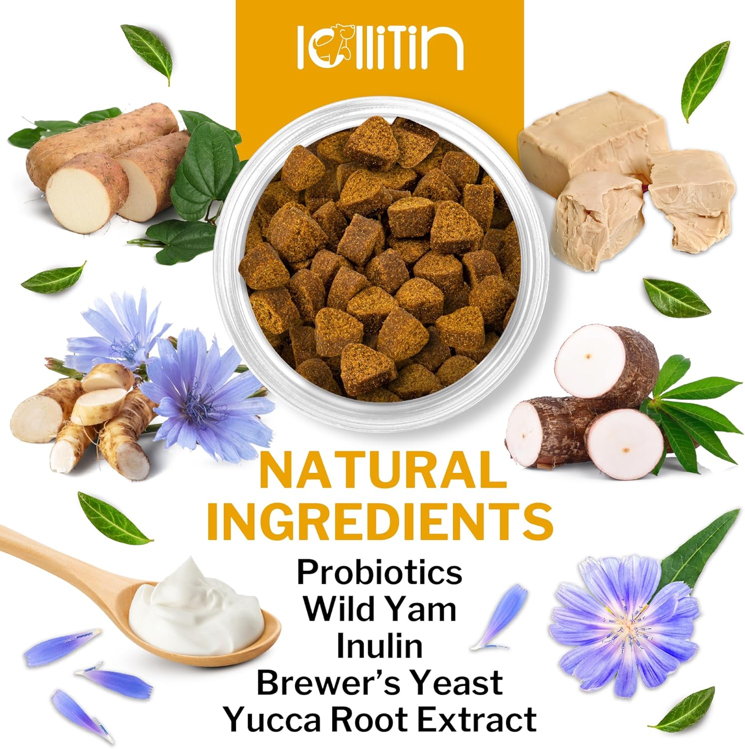 Lollitin Probiotic Chews for Dogs - Bacon Flavor, 120 Count - Natural Gut & Digestive Health Support with Prebiotics, Fiber, Enzymes - Immune Boost & Diarrhea Relief