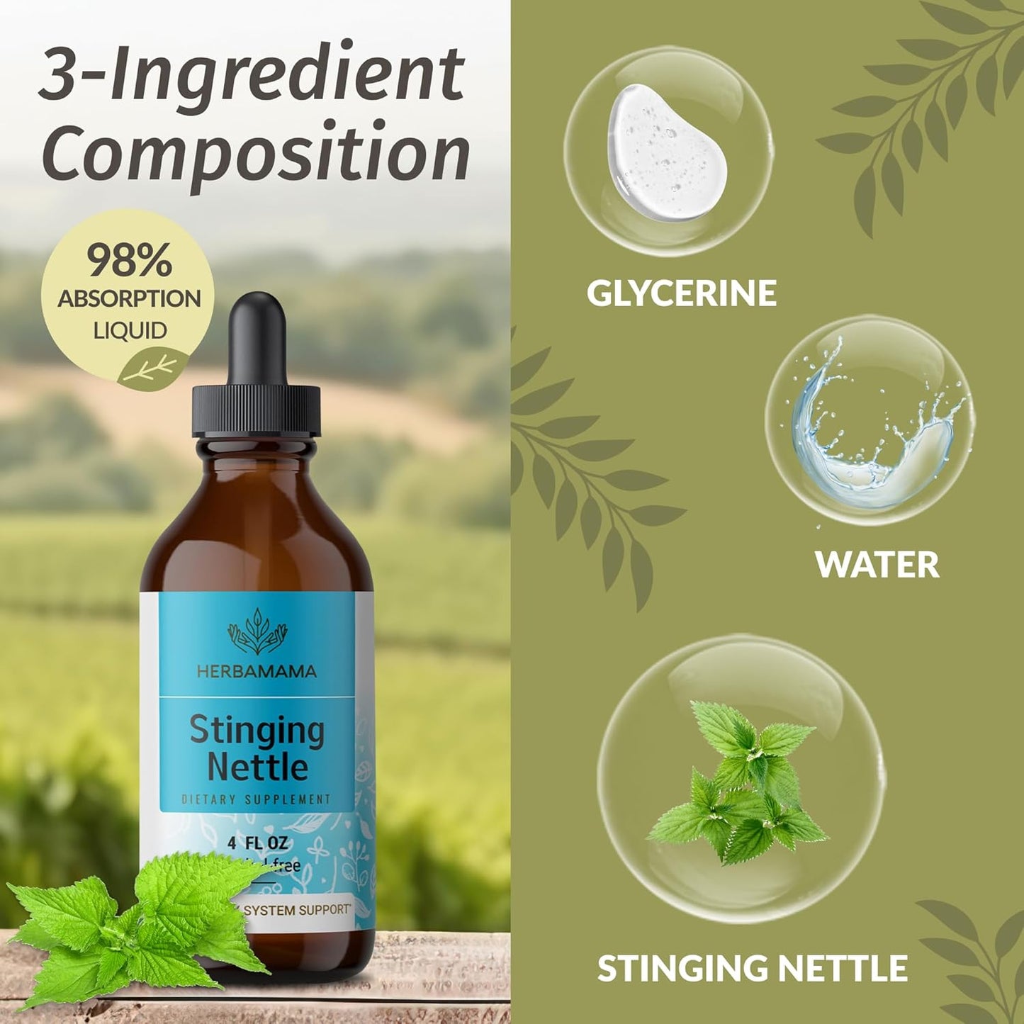 Lomatium Root and Stinging Nettle Herbal Liquid Drops Kit - 2 Pack of 4 fl oz Tinctures - Vegan, Non-GMO, Sugar & Alcohol-Free