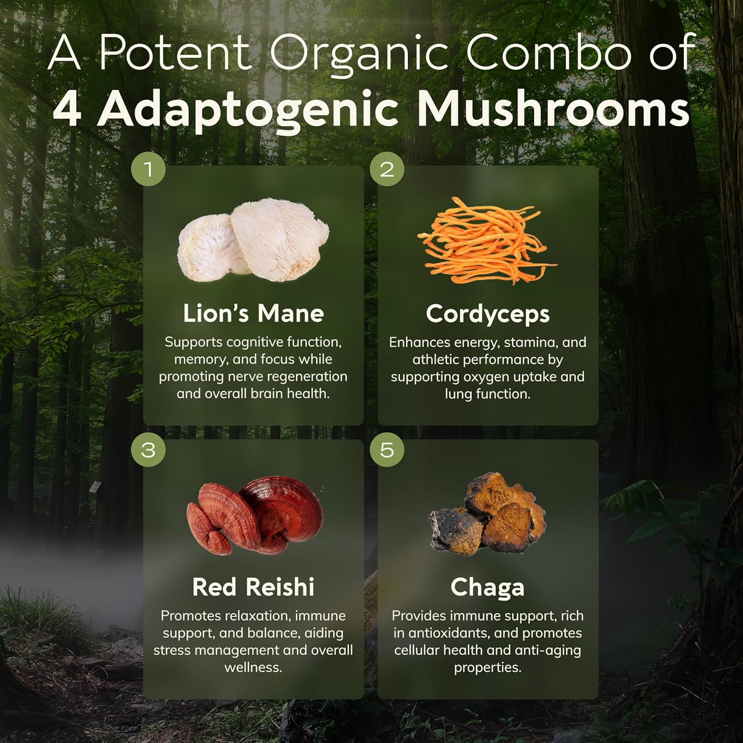 Longevity Botanicals 4 Mushroom Supplement Blend - Organic Mushroom Complex Powder - Lions Mane, Reishi, Cordyceps, Chaga - 100% Fruiting Body - 100g
