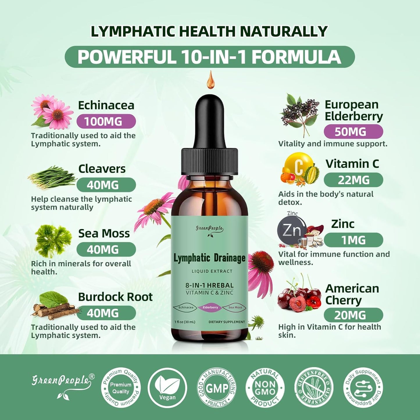 Lymphatic Support Drops with Echinacea & Elderberry - Vegan Cleanse Supplements - Immune Booster - Non-GMO (2 Pack)
