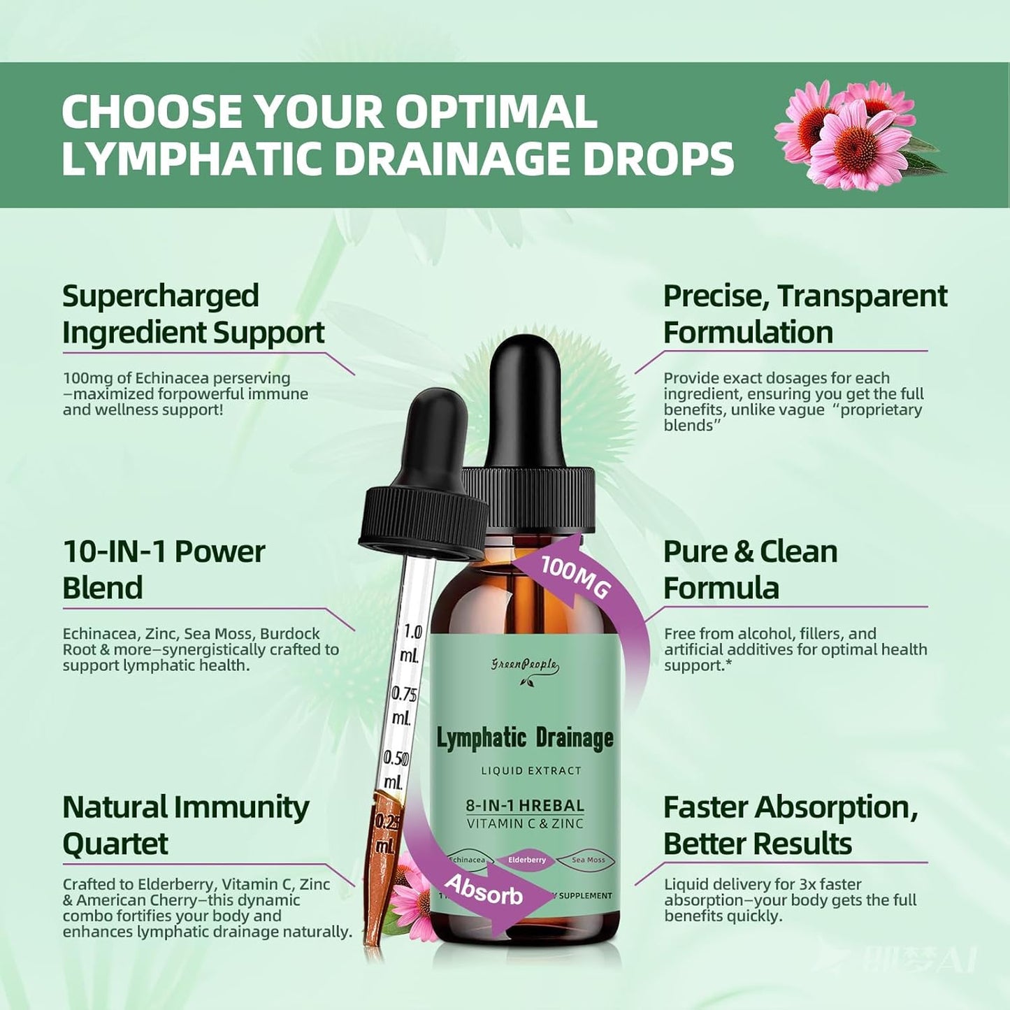 Lymphatic Support Drops with Echinacea & Elderberry - Vegan Cleanse Supplements - Immune Booster - Non-GMO (2 Pack)
