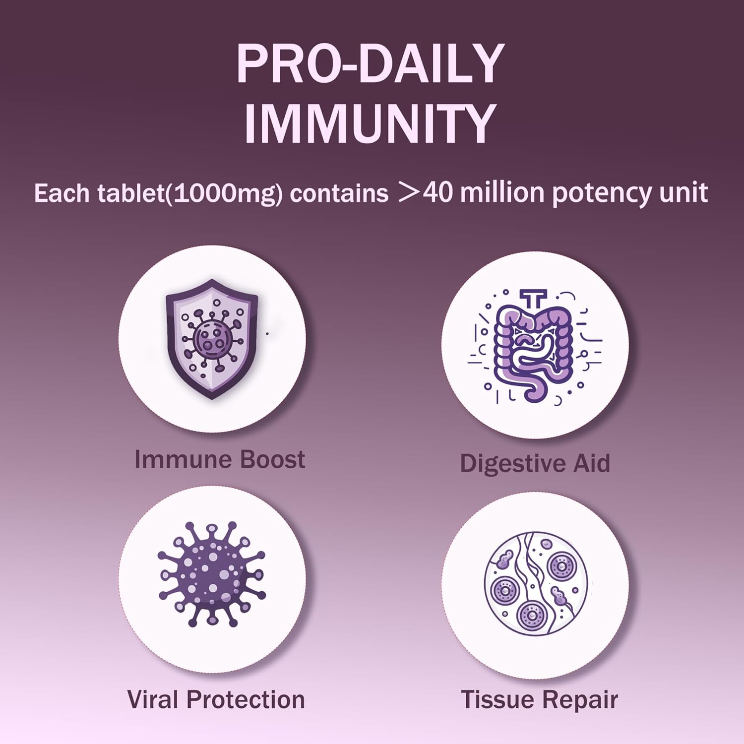 Lysozyme Supplement for Inflammation Support, Immune Boost & Digestive Health - H-HOLYMA WLM AAAAA